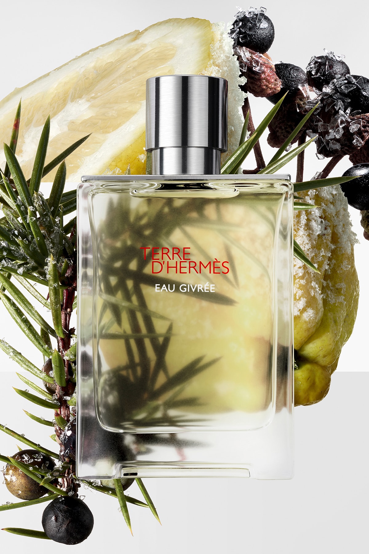 Hermes Terre d'Hermes Eau Givree Erkek Parfüm