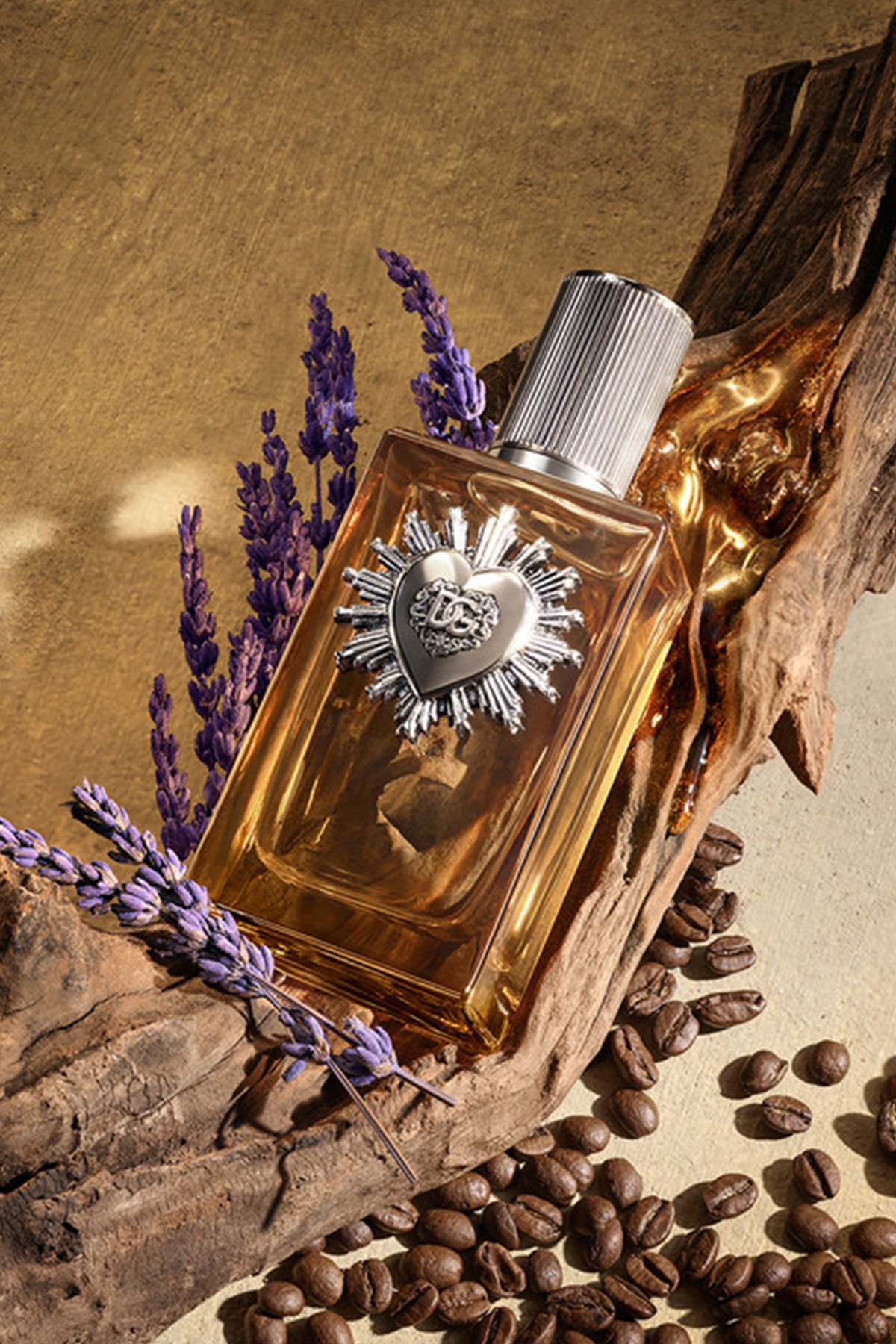 Dolce Gabbana Devotion For Men EDP Erkek Parfüm - 100 Ml