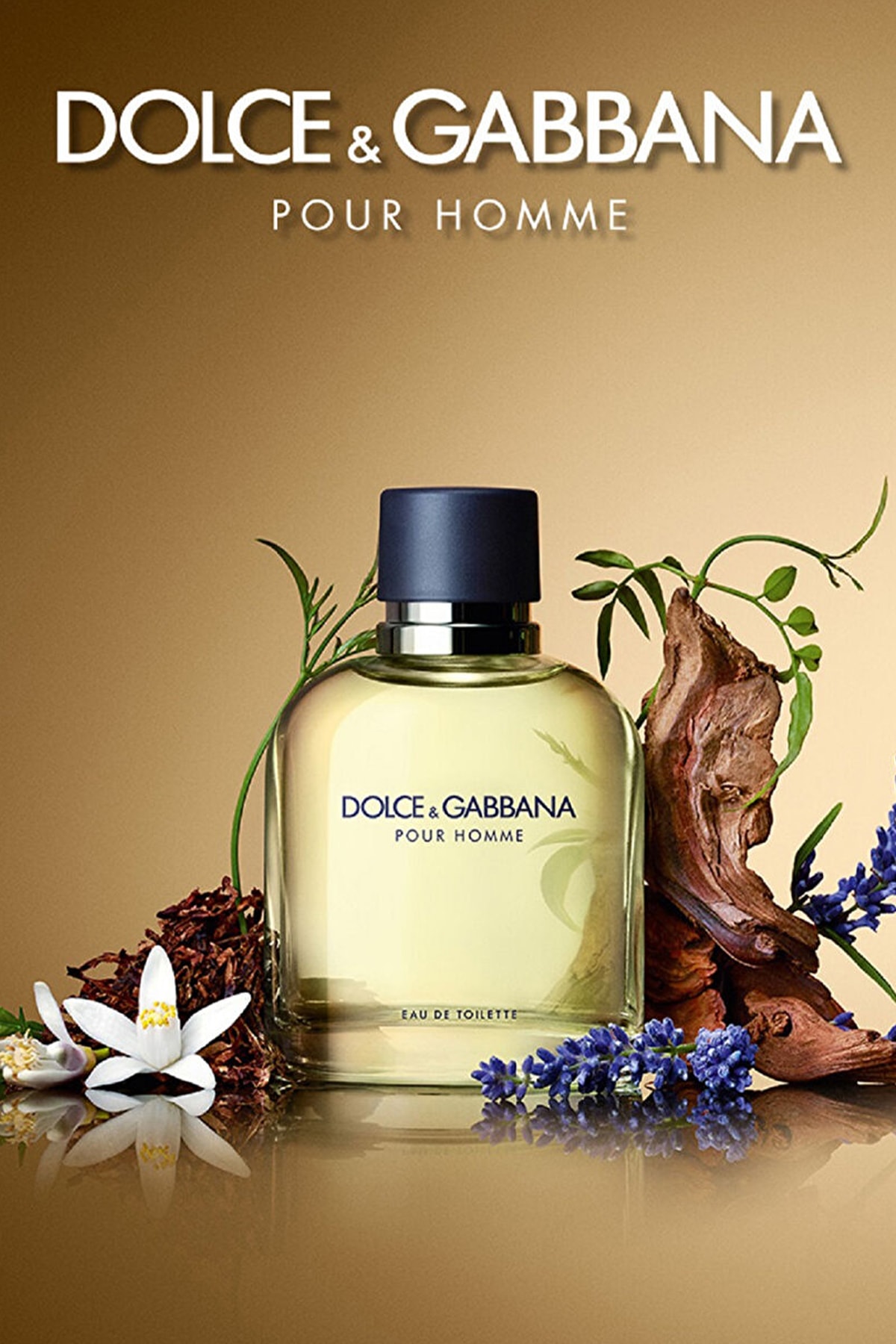 Dolce Gabbana Pour Homme EDT Erkek Parfüm