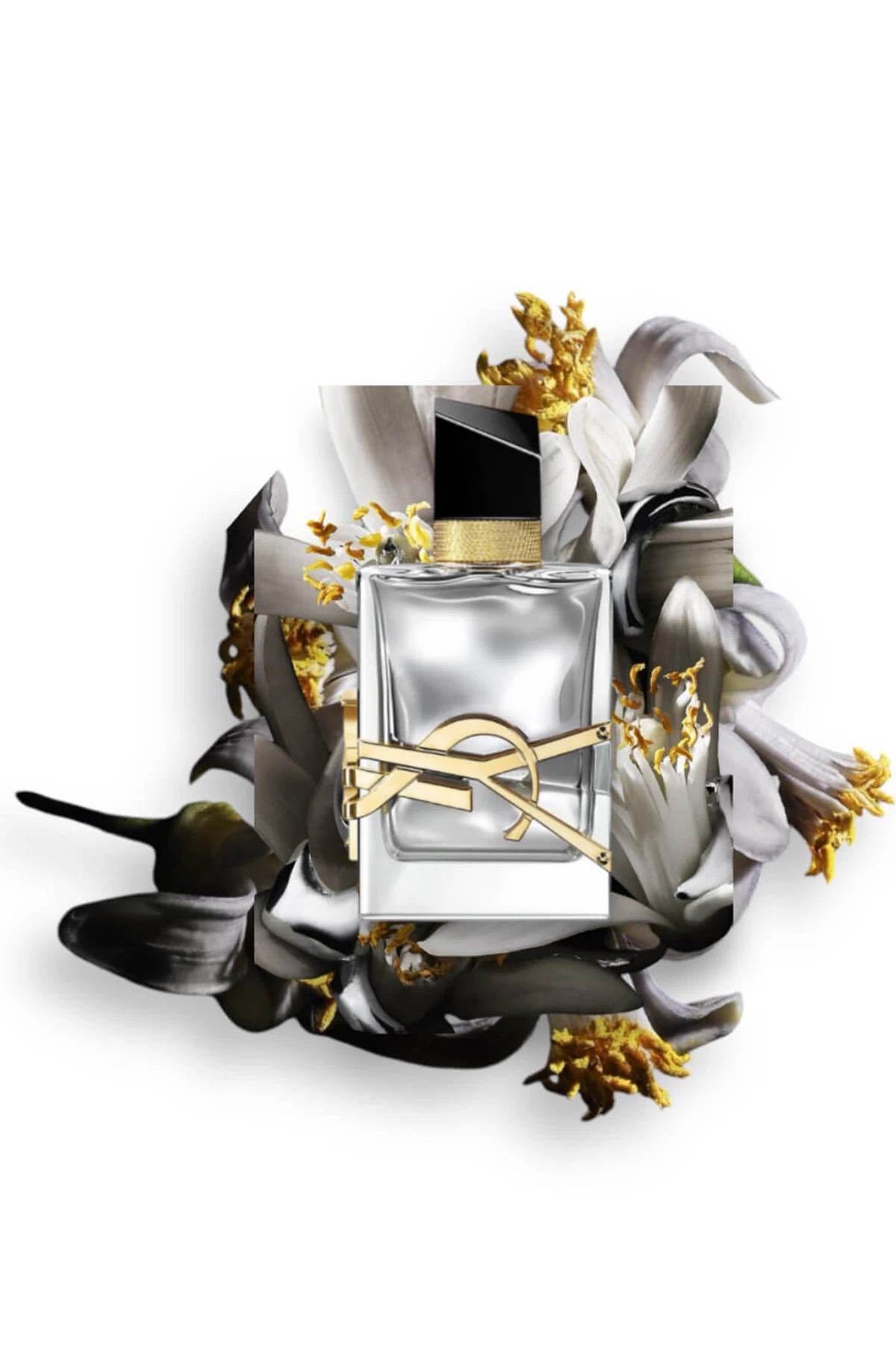 Yves Saint Laurent Libre L Absolu Platine EDP Kadın Parfüm - 90 ml