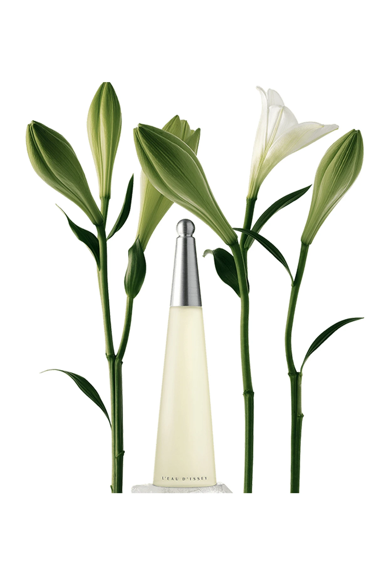 Issey Miyake L'Eau D'Issey Woman EDT Kadın Parfüm - 50 ml