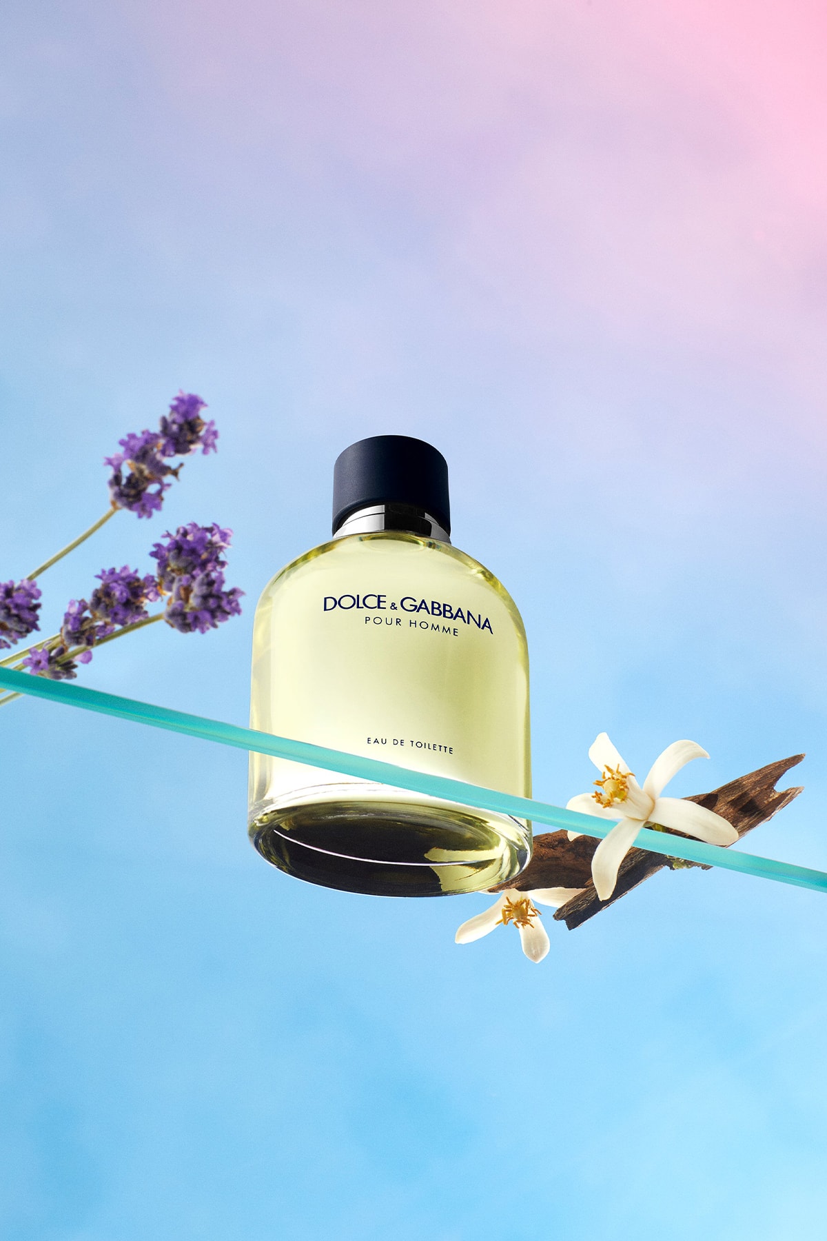 Dolce Gabbana Pour Homme EDT Erkek Parfüm