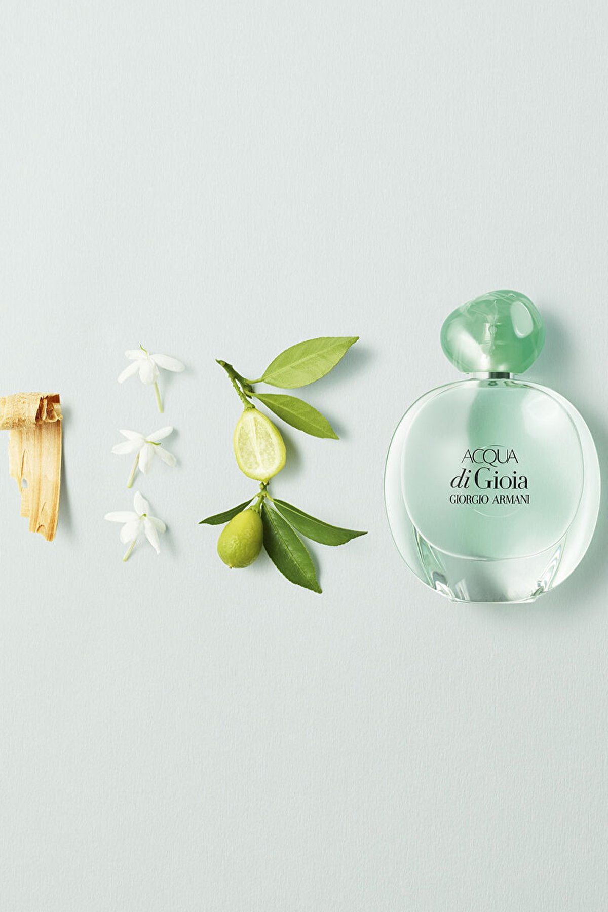 Giorgio Armani Acqua Di Gioia EDP 100 ml Kadın Parfüm