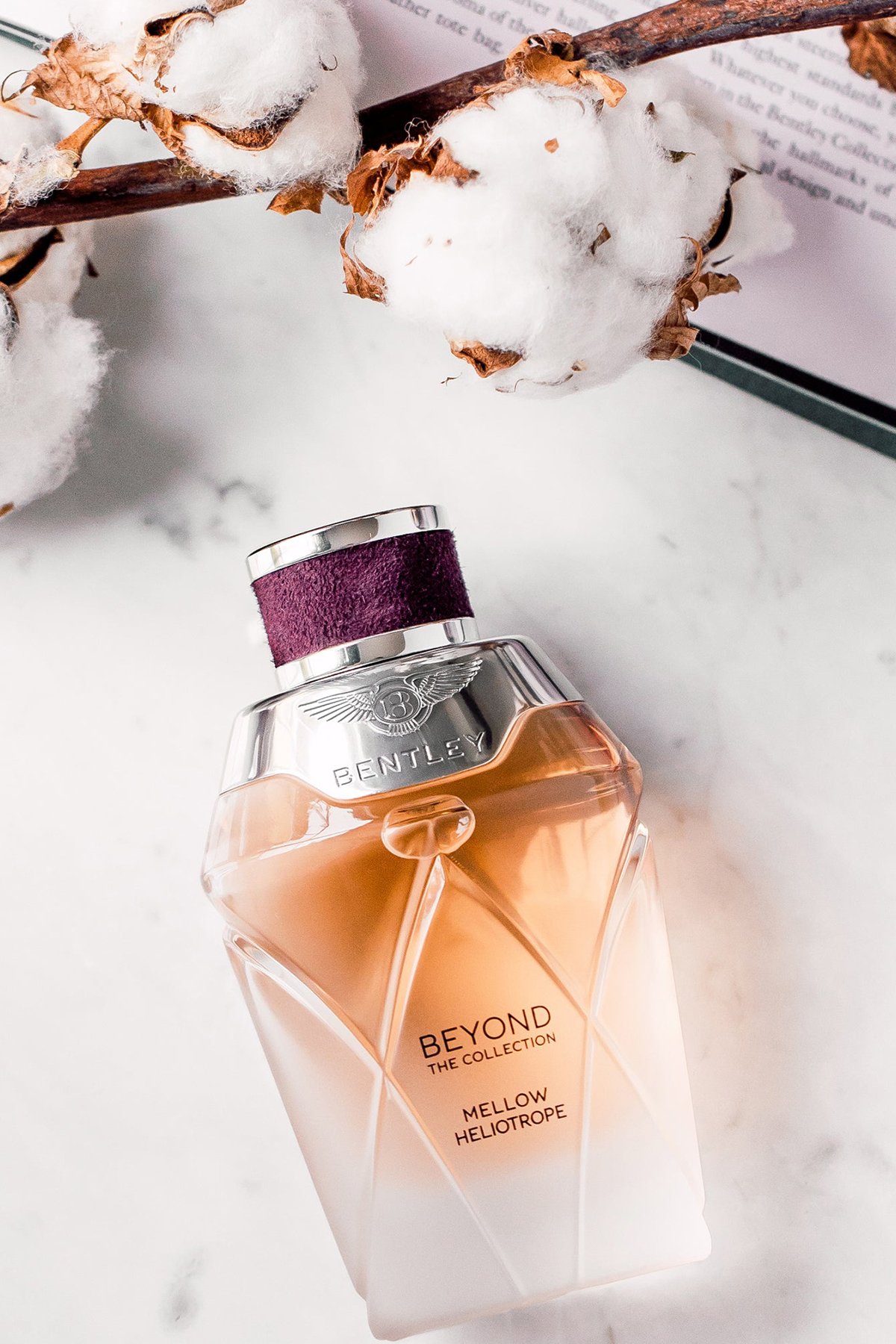 Bentley Mellow Heliotrope EDP 100 ml Kadın Parfümü