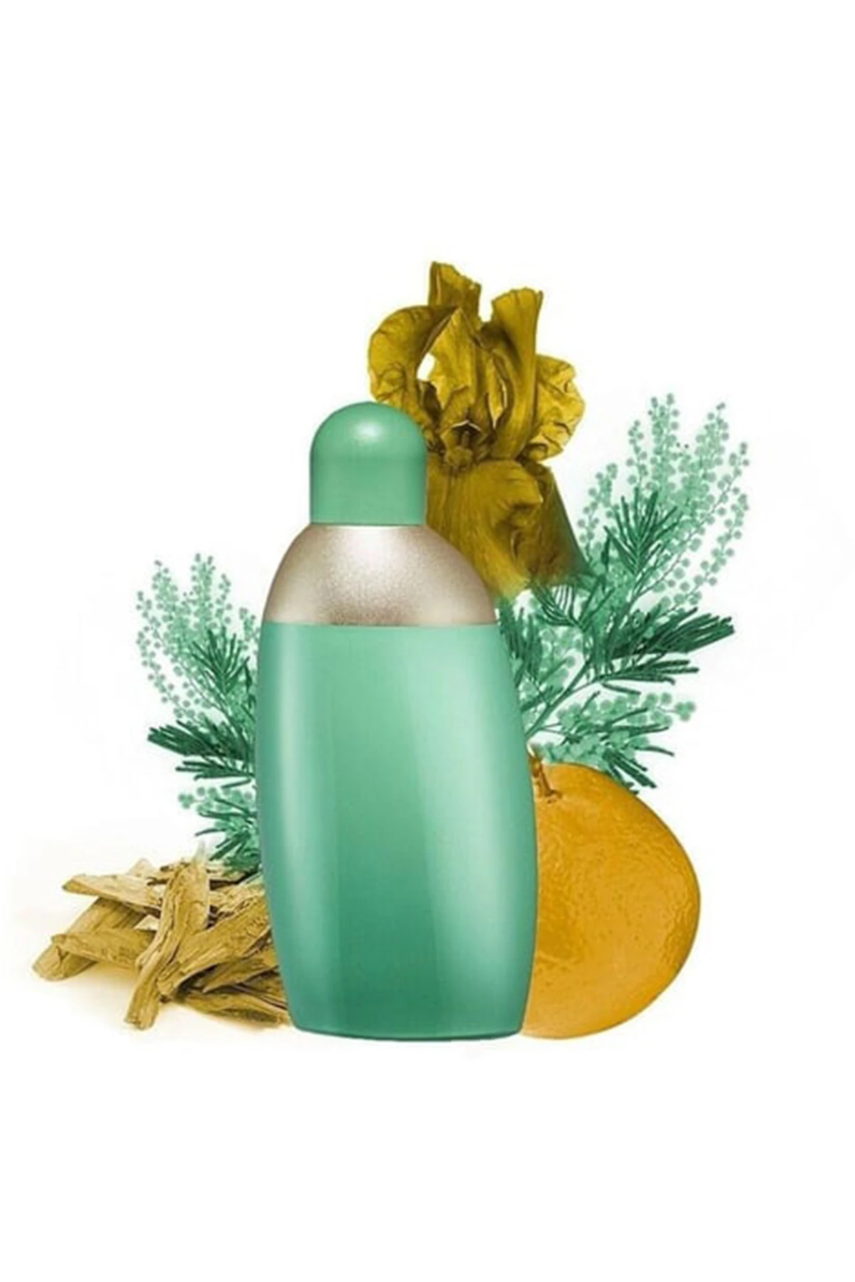 Cacharel Eden EDP 50 ml Kadın Parfüm