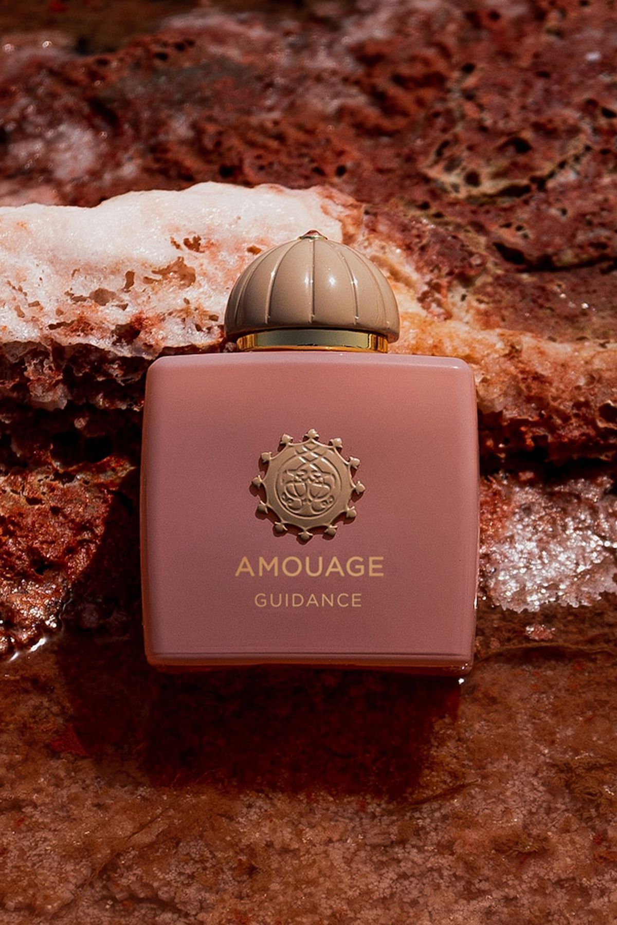 Amouage Guidance Edp 100 ml Erkek Parfüm 