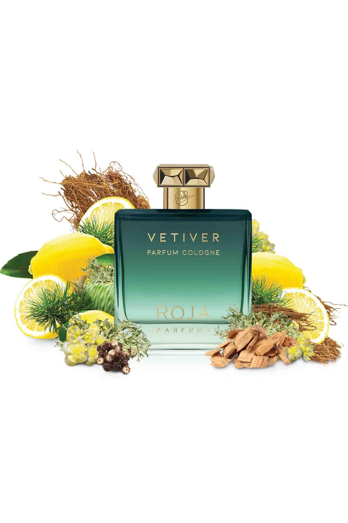 Roja Parfums Vetiver Pour Homme Parfum Cologne 100 ml Erkek Parfüm