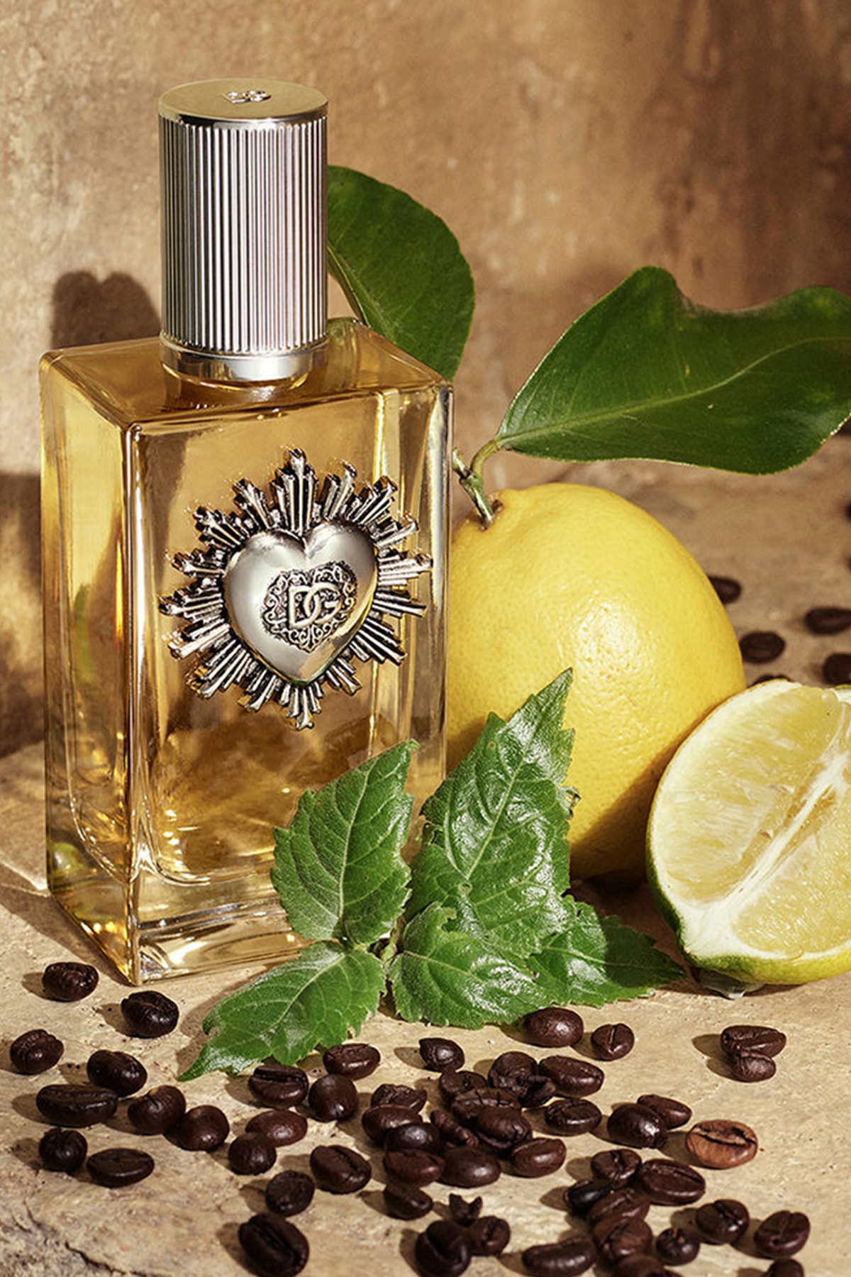 Dolce Gabbana Devotion For Men EDP Erkek Parfüm - 100 Ml