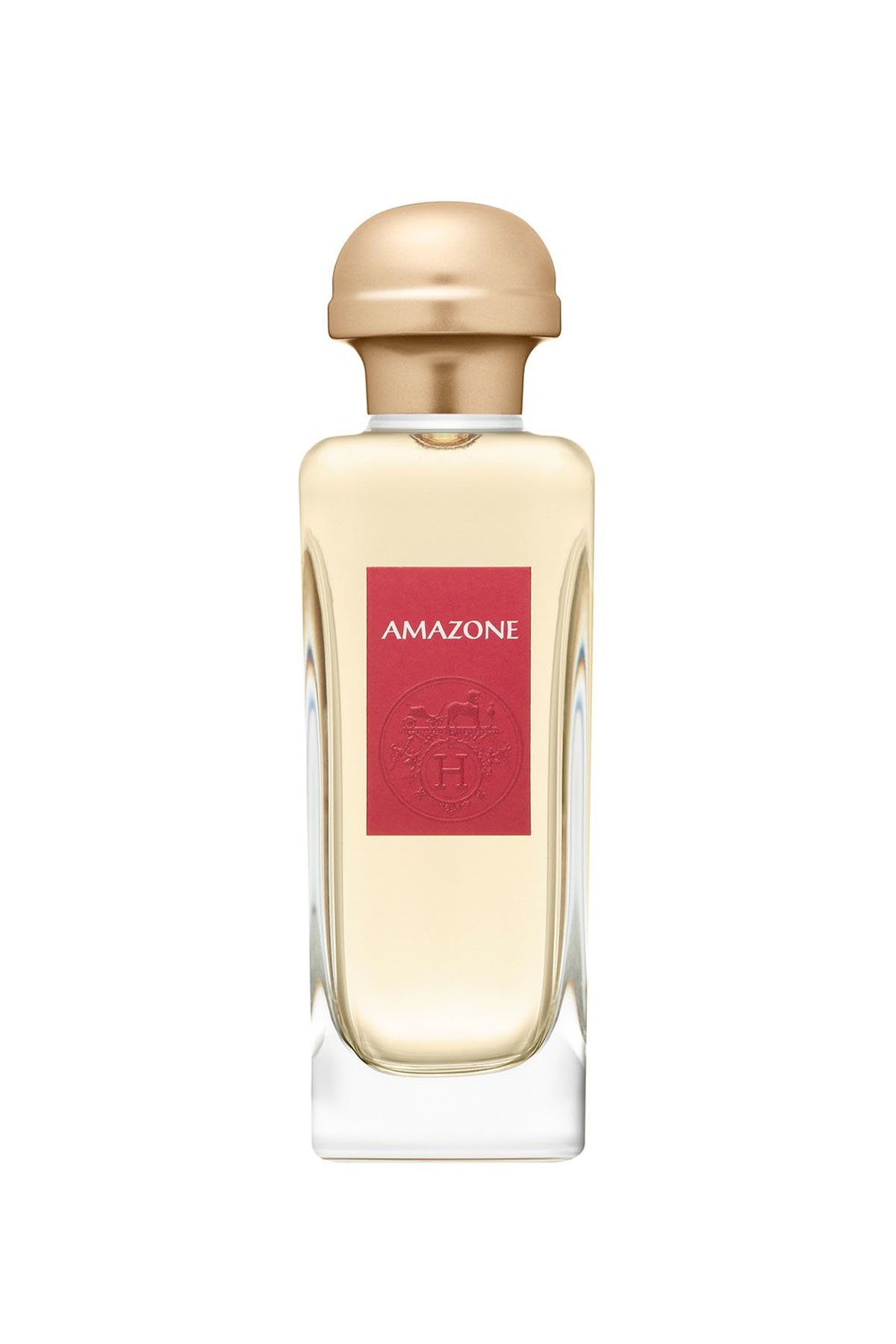 Hermes Amazone Eau de Toilette 100 ml Parfüm