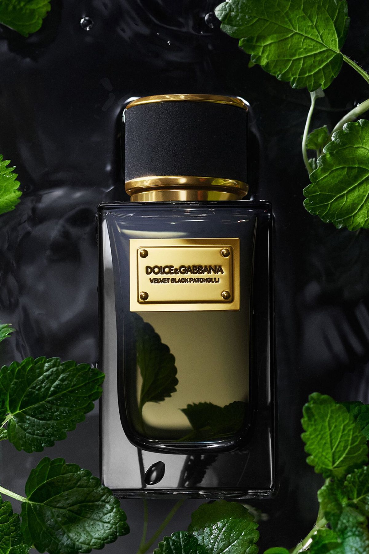 Dolce Gabbana Velvet Black Patchouli EDP 100 ml Unisex Parfüm