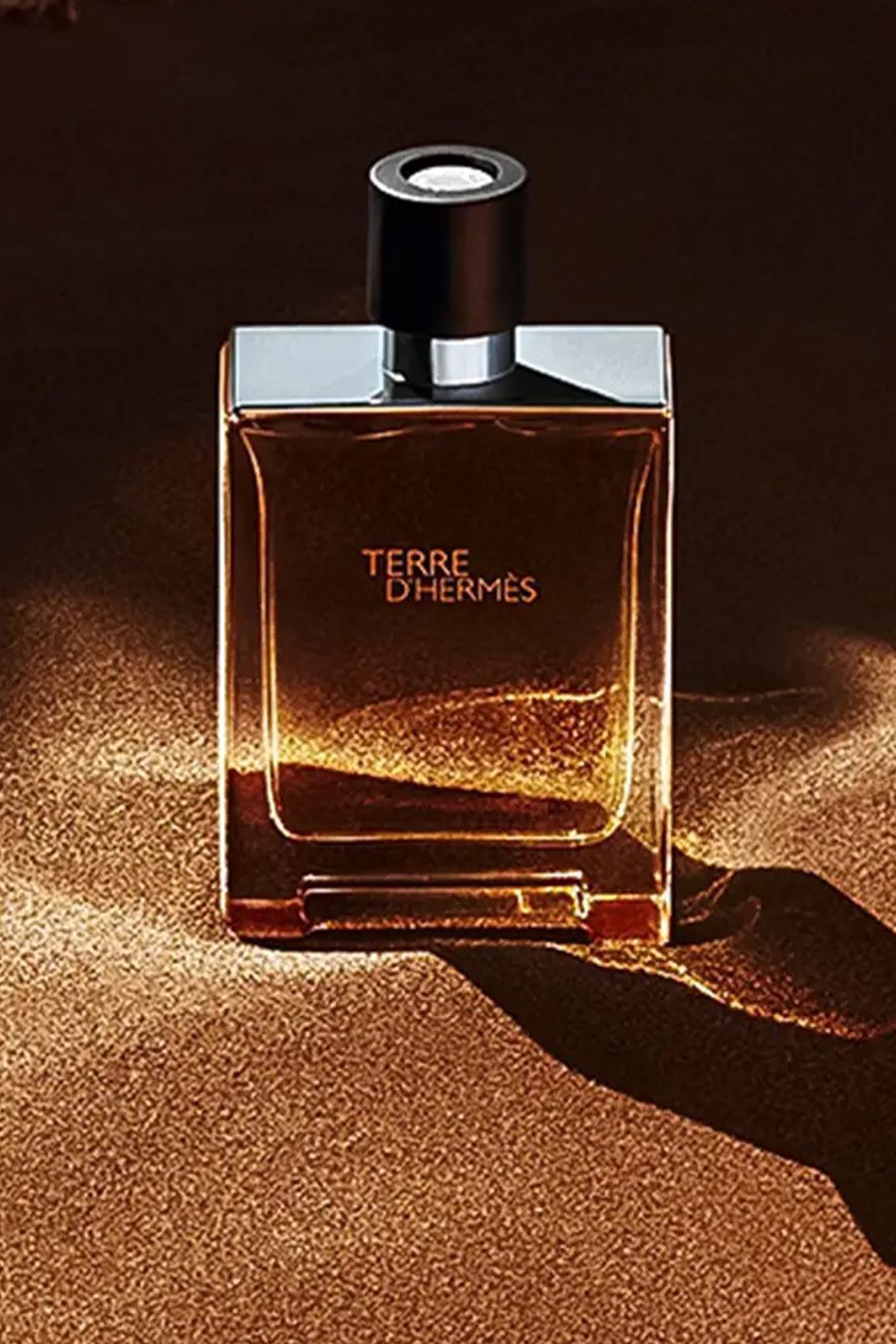 Hermes Terre d'Hermès Eau de Toilette 100 ml Erkek Parfüm