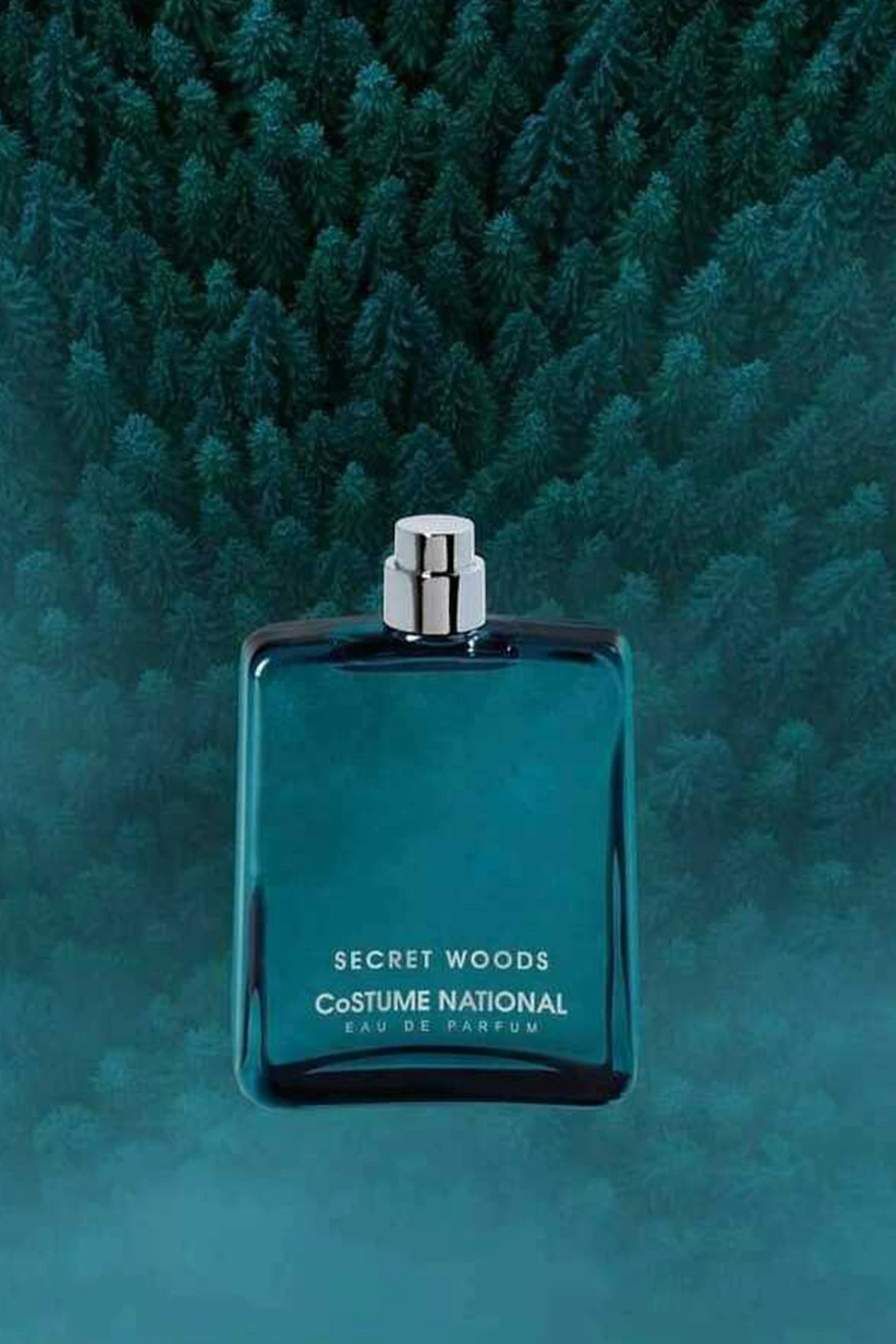 Costume National Secret Woods EDP 100 ml Erkek Parfüm