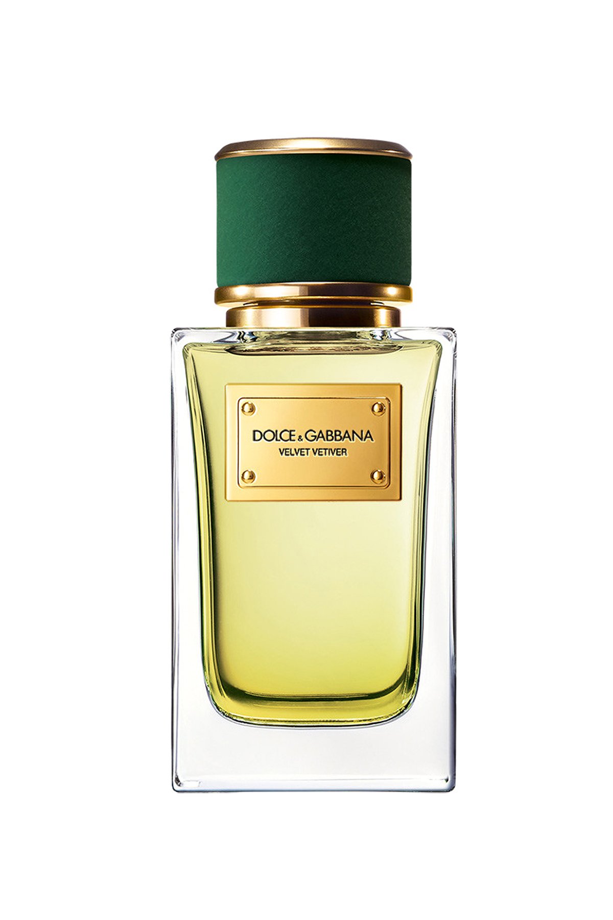 Dolce Gabbana Velvet Vetiver EDP 100 ml Unisex Parfüm