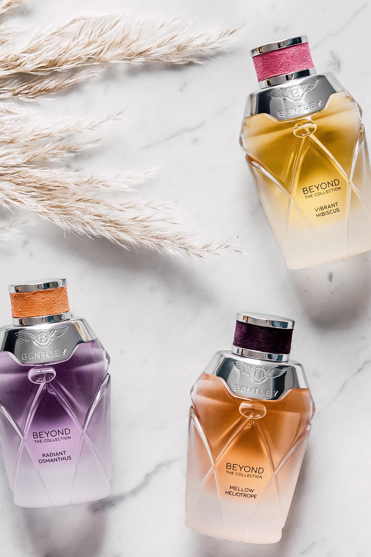 Bentley Radiant Osmanthus EDP 100 ml Kadın Parfümü