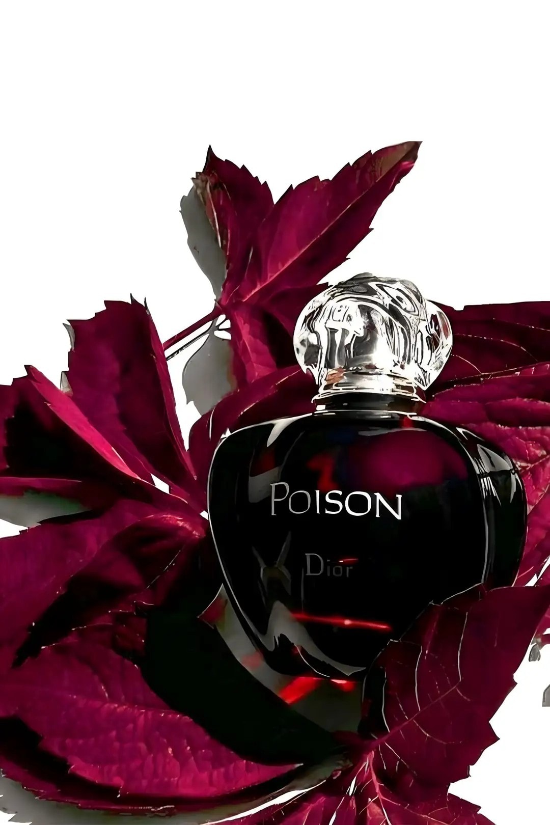 Dior Poison EDT Kadın Parfüm - 100 Ml