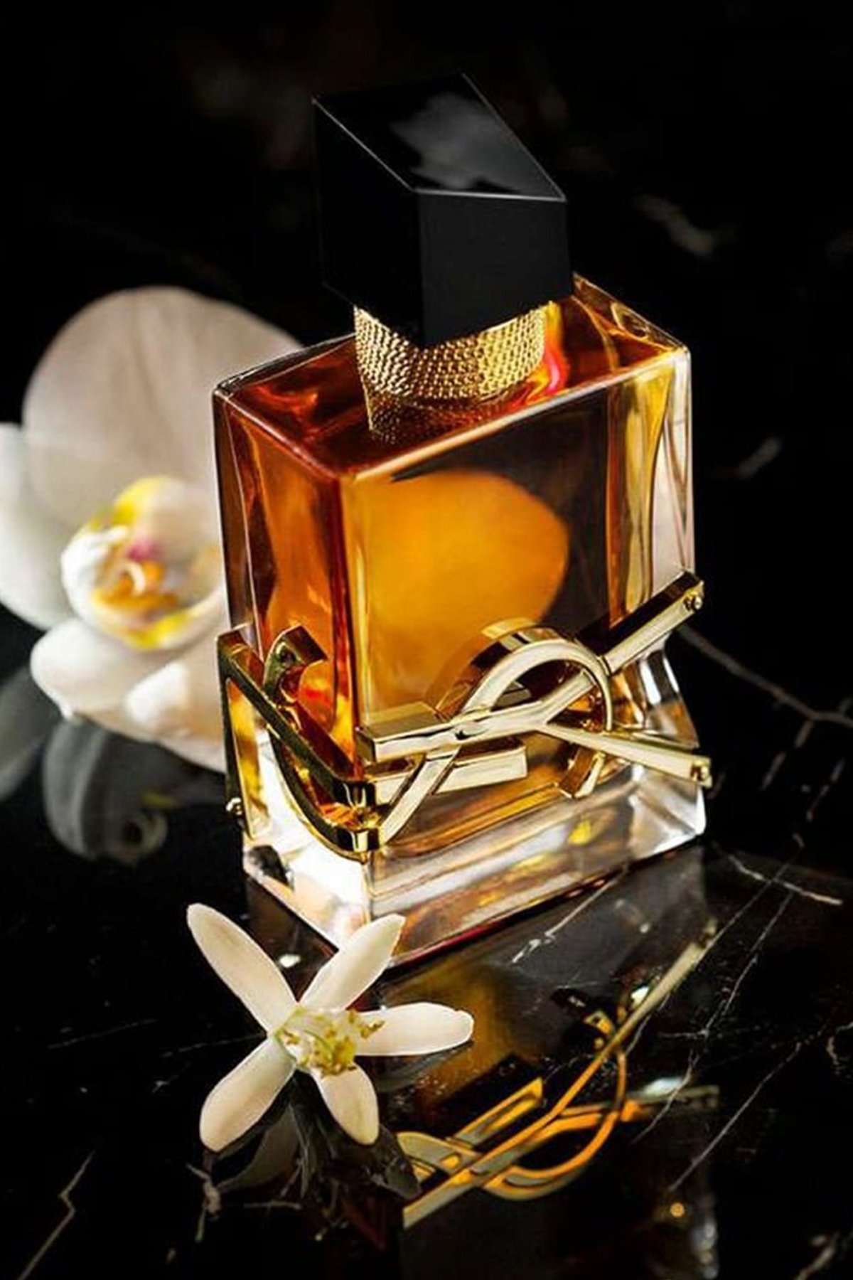 Yves Saint Laurent Libre Le Parfum EDP 90 ml Kadın Parfüm