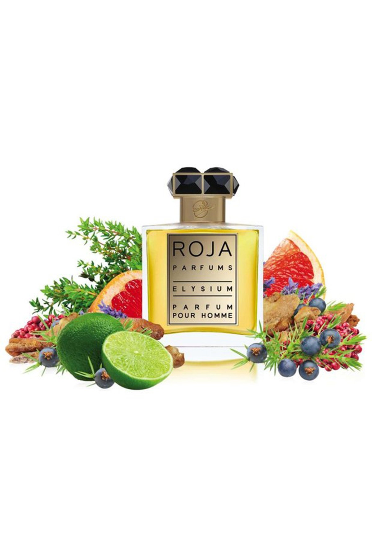 Roja Parfums Elysium Parfüm Pour Homme EDP 50 ml Erkek Parfüm