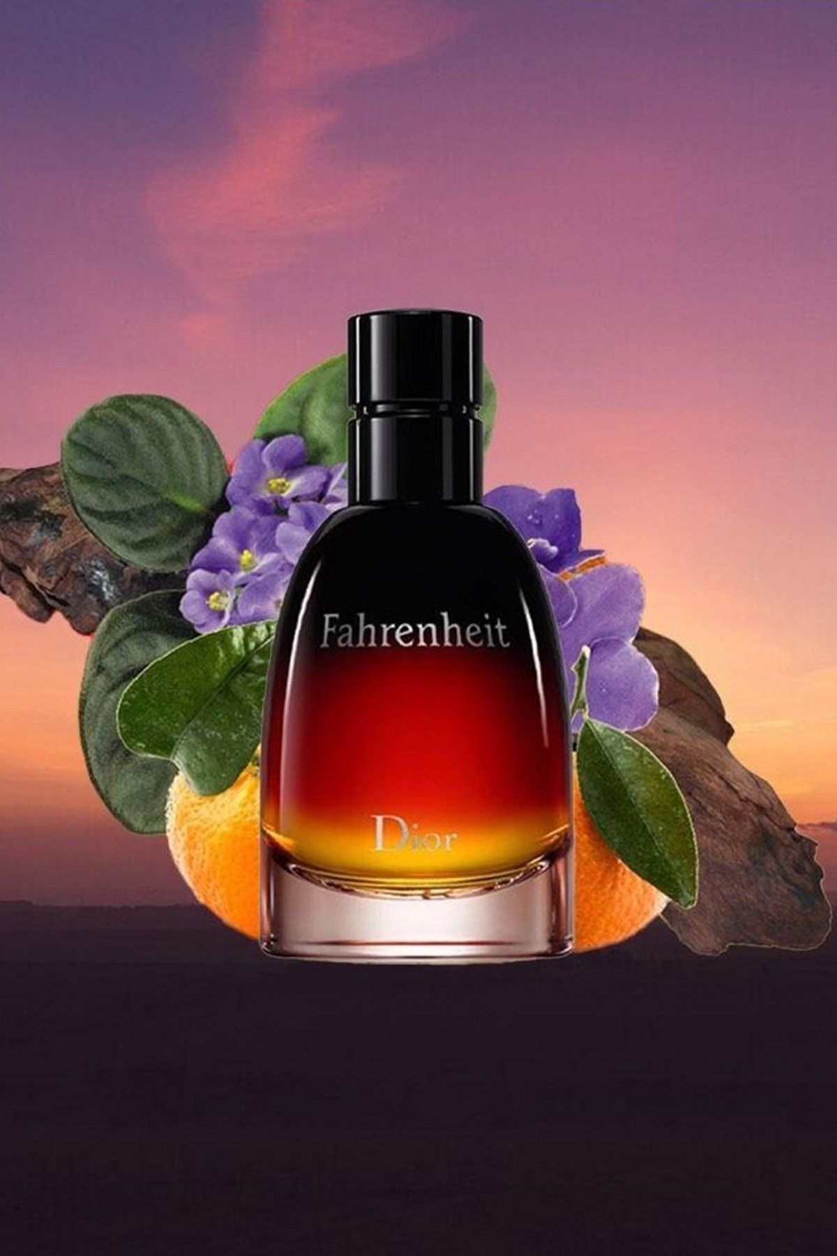 Dior Fahrenheit EDP 75 ml Erkek Parfüm