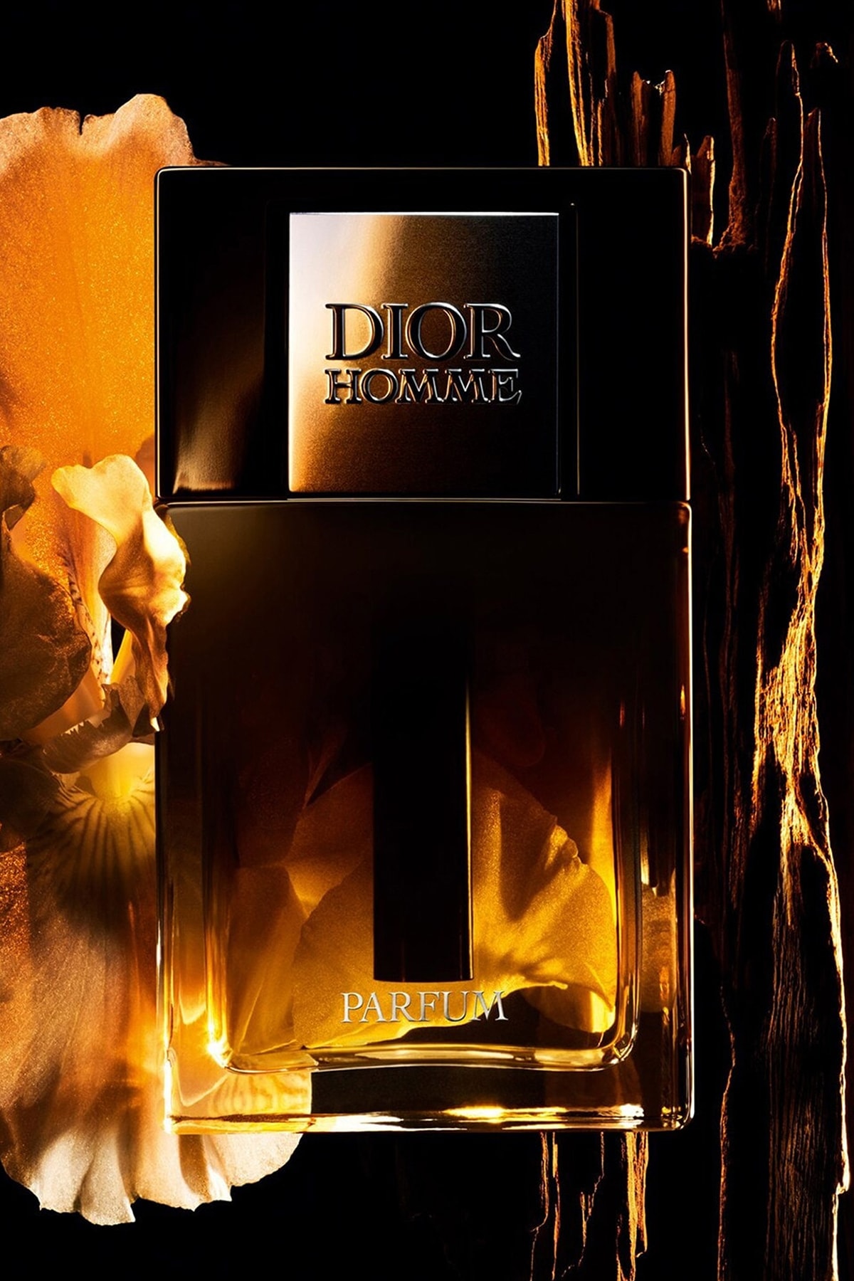 Dior Homme Parfum EDP Erkek Parfüm - 75 Ml