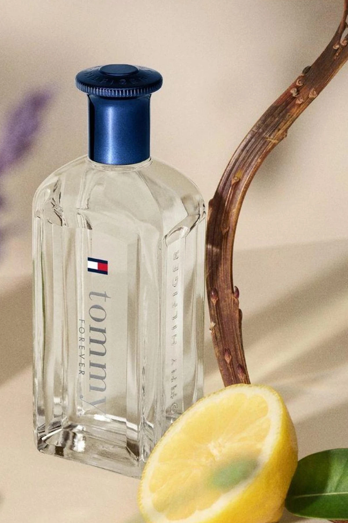 Tommy Hilfiger Forever EDT 100 ml Erkek Parfüm