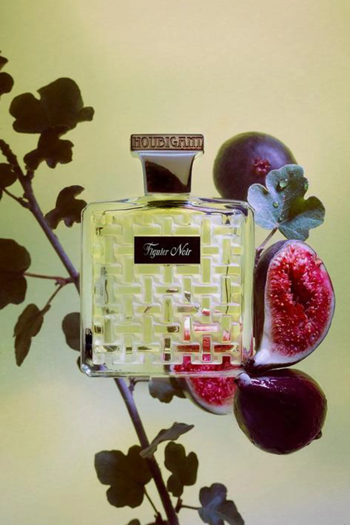 Houbigant Paris Figuier Noir EDP 100 ml Erkek Parfüm