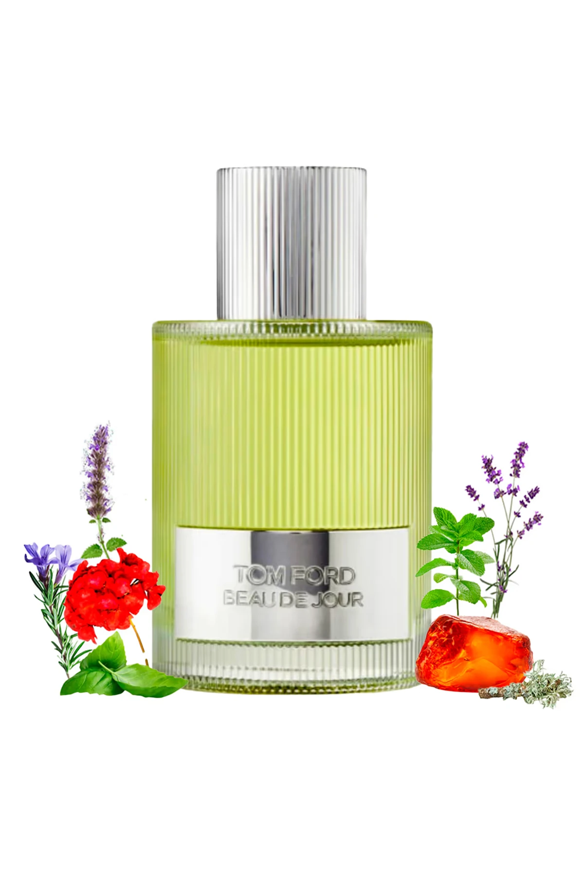 Tom Ford Beau De Jour 100 ml EDP Erkek Parfüm