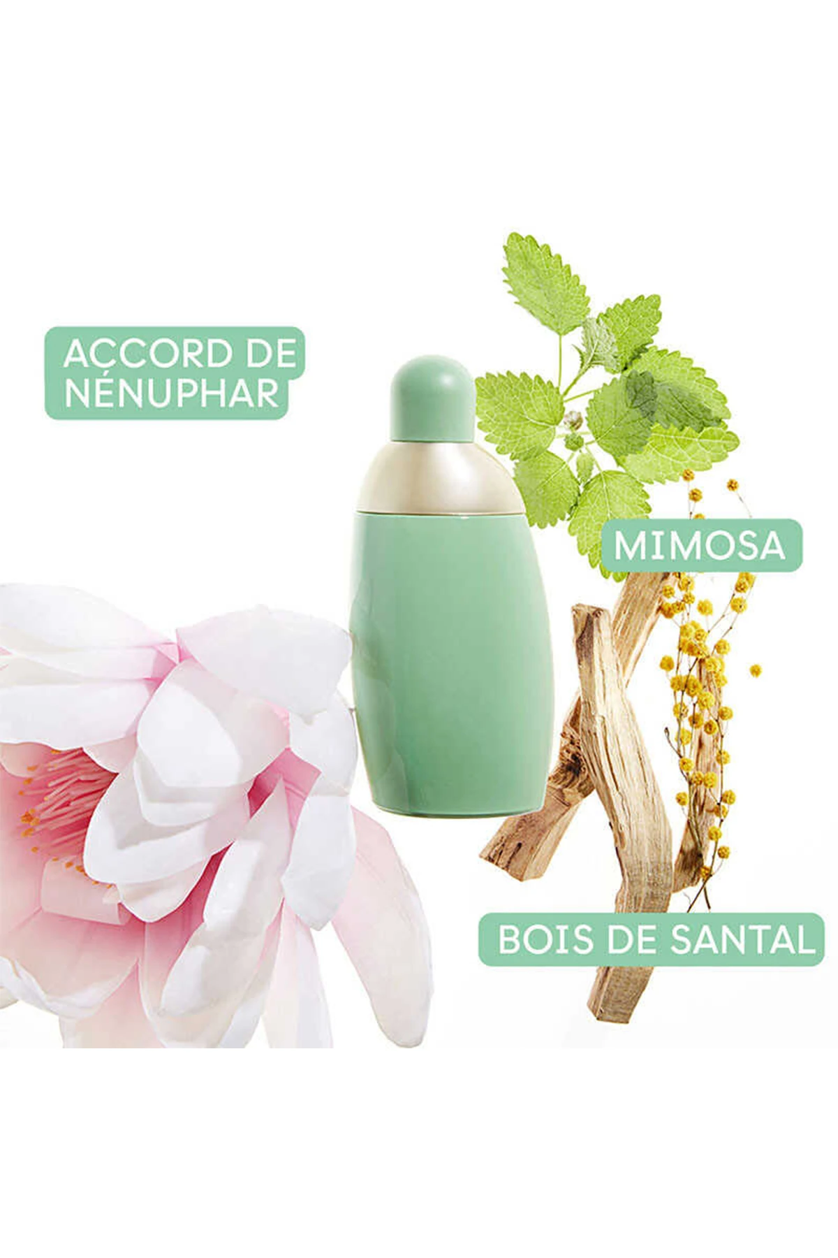 Cacharel Eden EDP 50 ml Kadın Parfüm