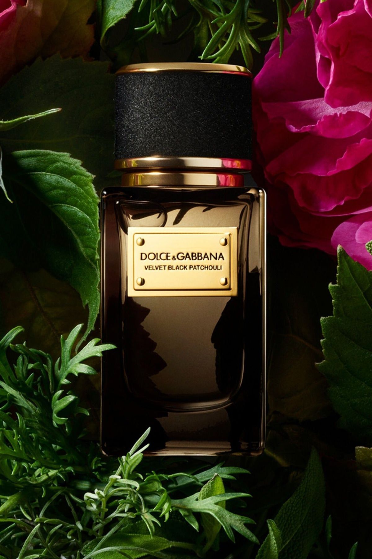 Dolce Gabbana Velvet Black Patchouli EDP 100 ml Unisex Parfüm