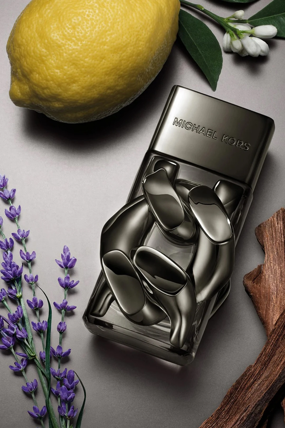 Michael Kors Pour Homme Absolu EDP Erkek Parfüm - 100 ml