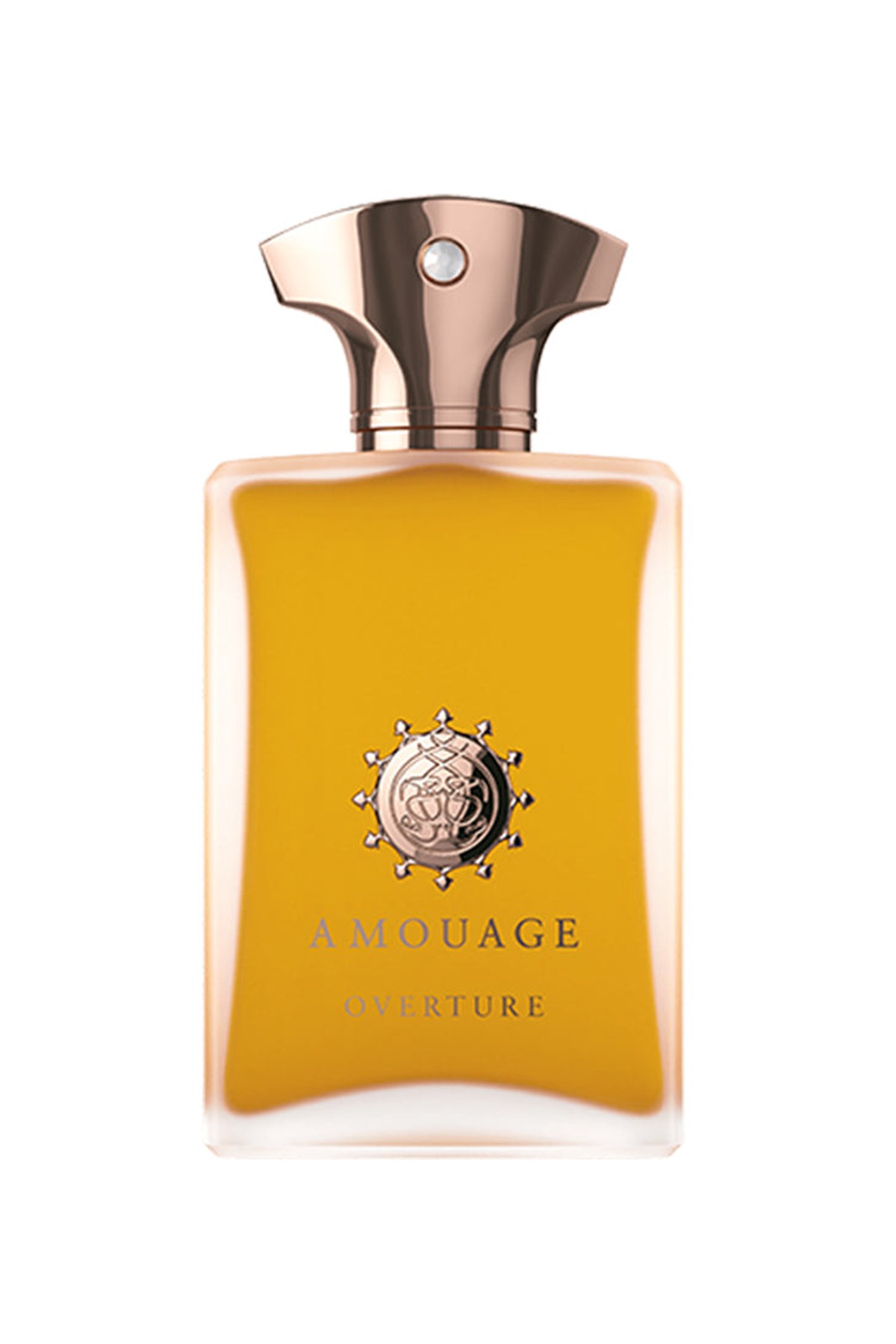 Amouage Overture Man Edp 100 ml Erkek Parfüm