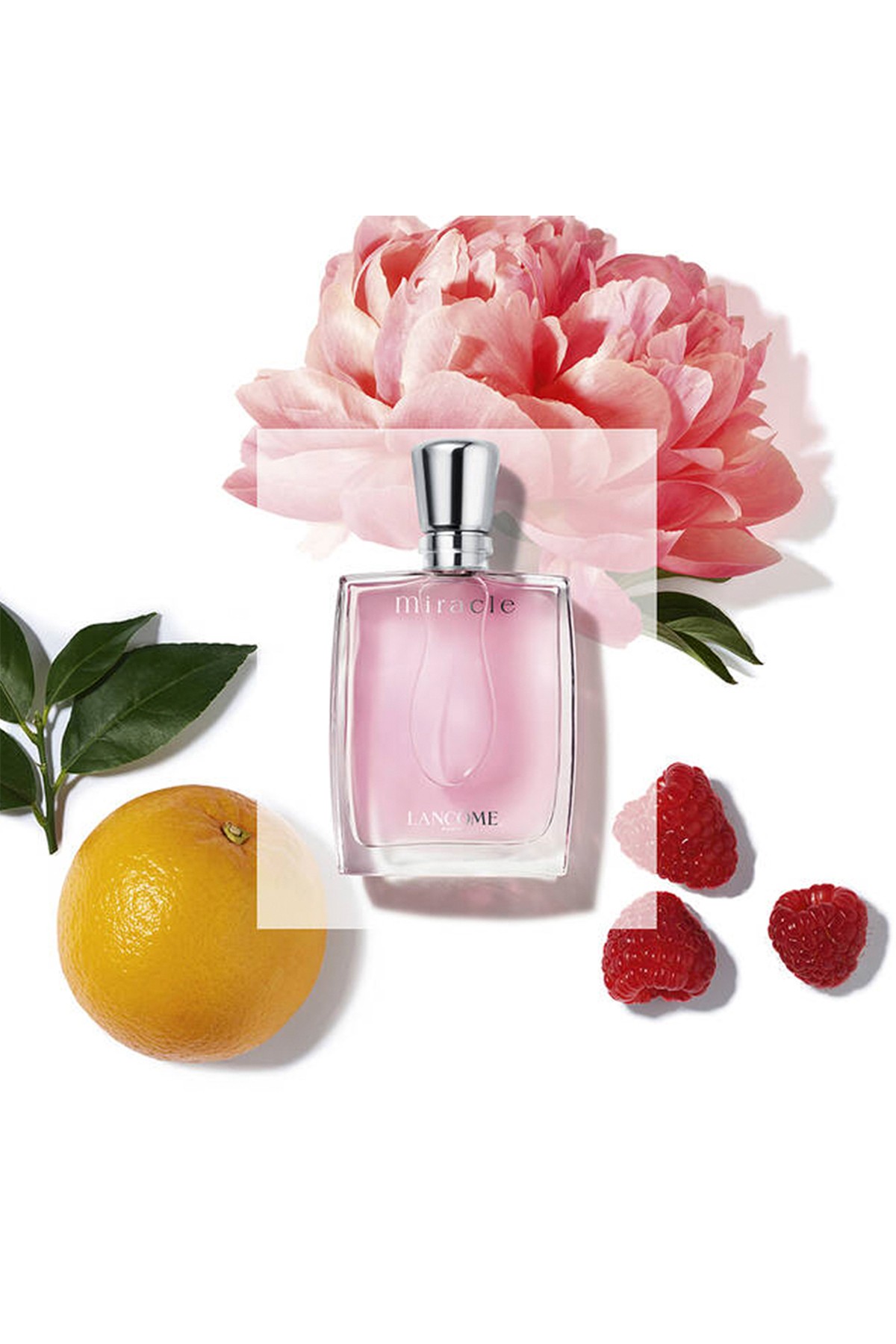 Lancome Miracle Edp 100 ml Kadın Parfüm