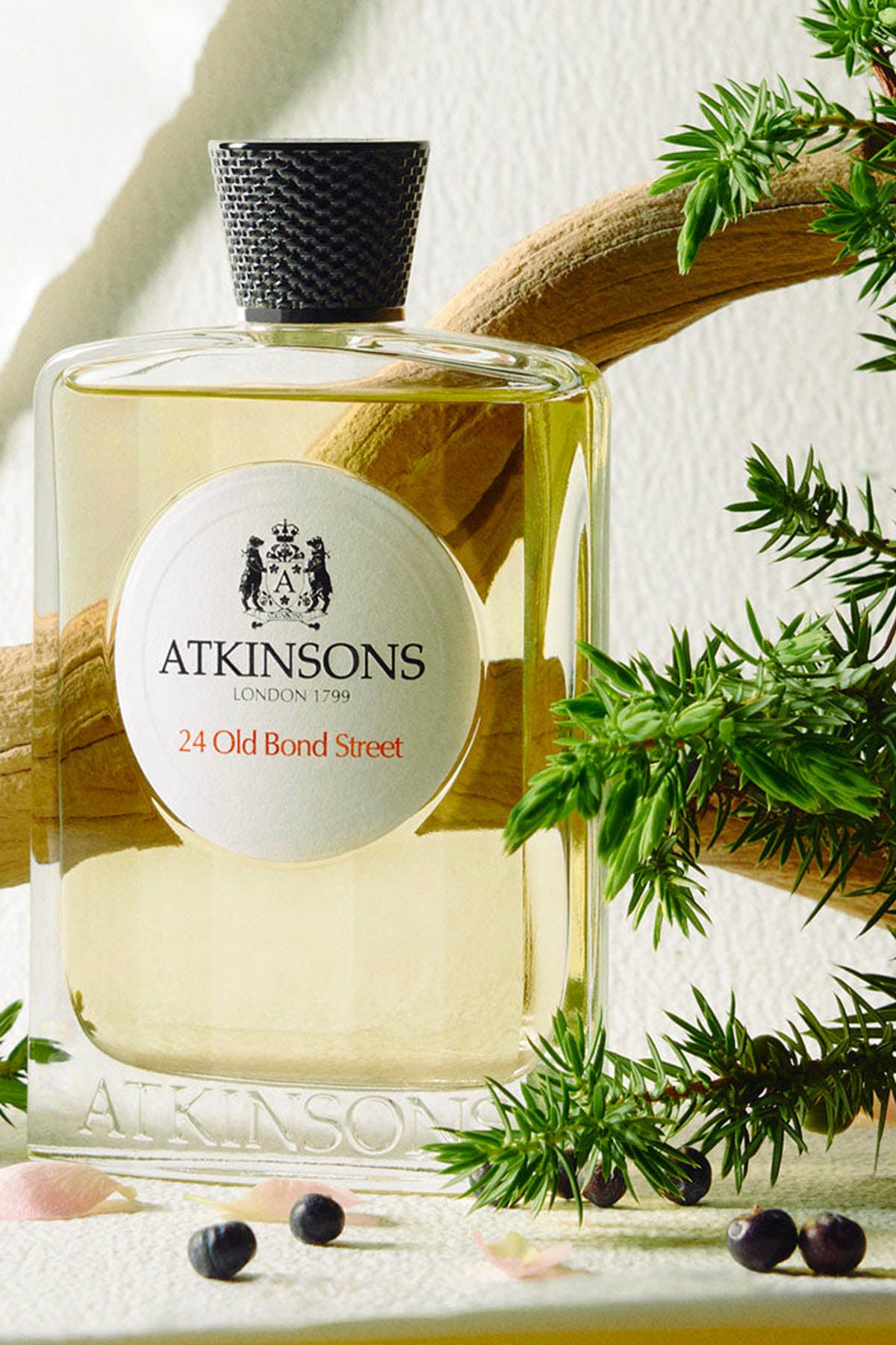 Atkinsons 24 Old Bond Street EDC 100 ml Parfüm