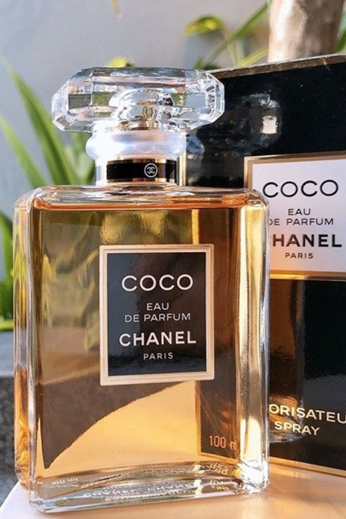 Chanel Coco Eau De Parfüm Spray 100 ml Kadın Parfüm