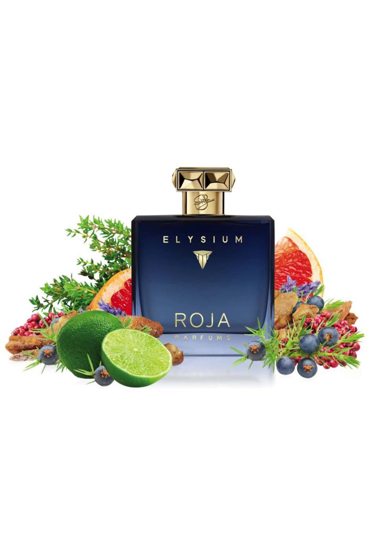 Roja Parfums Elysium Pour Homme EDP 100 ml Erkek Parfüm