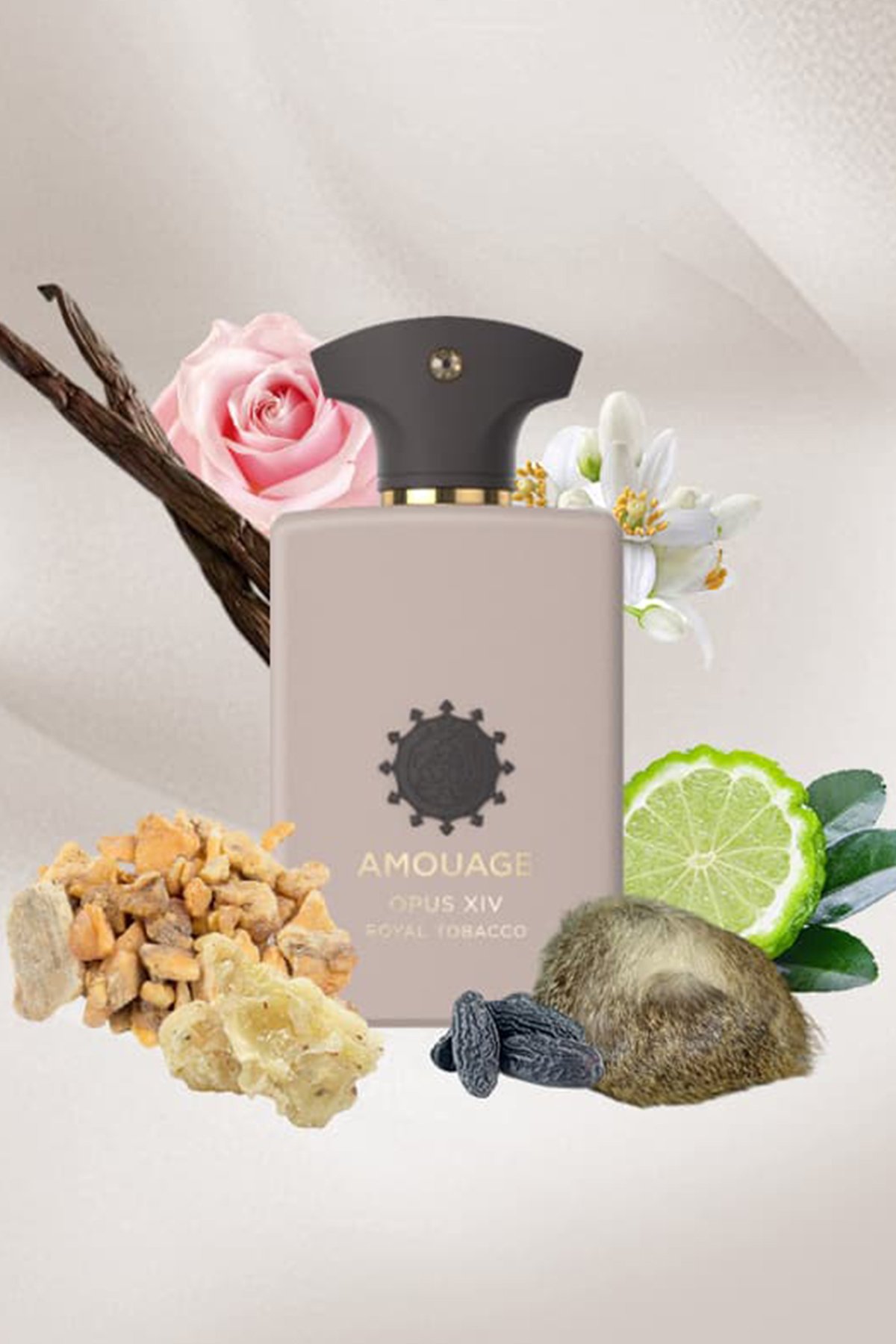 Amouage Opus XIV Royal Tobacco EDP 100 ml Unisex Parfüm