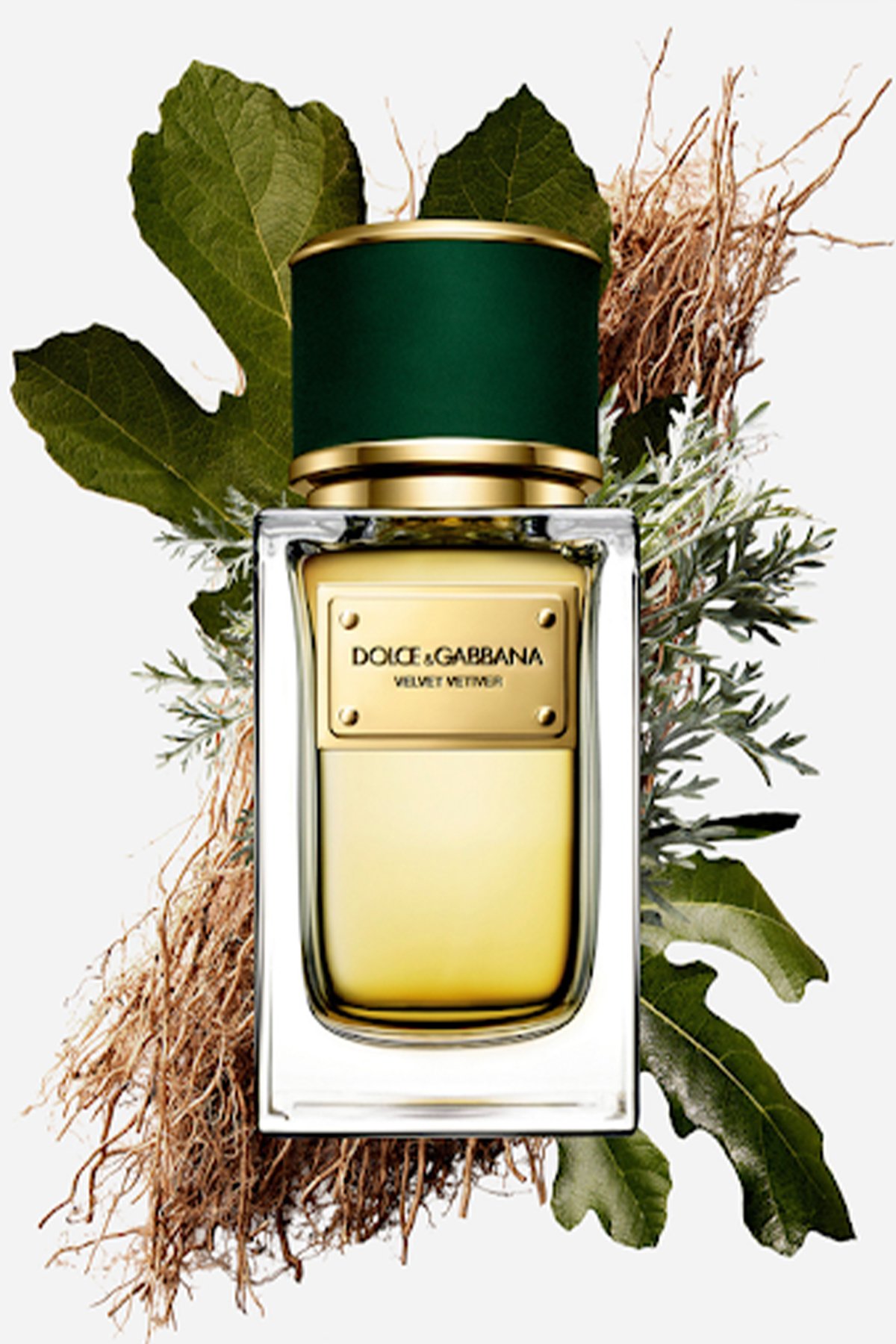 Dolce Gabbana Velvet Vetiver EDP 100 ml Unisex Parfüm