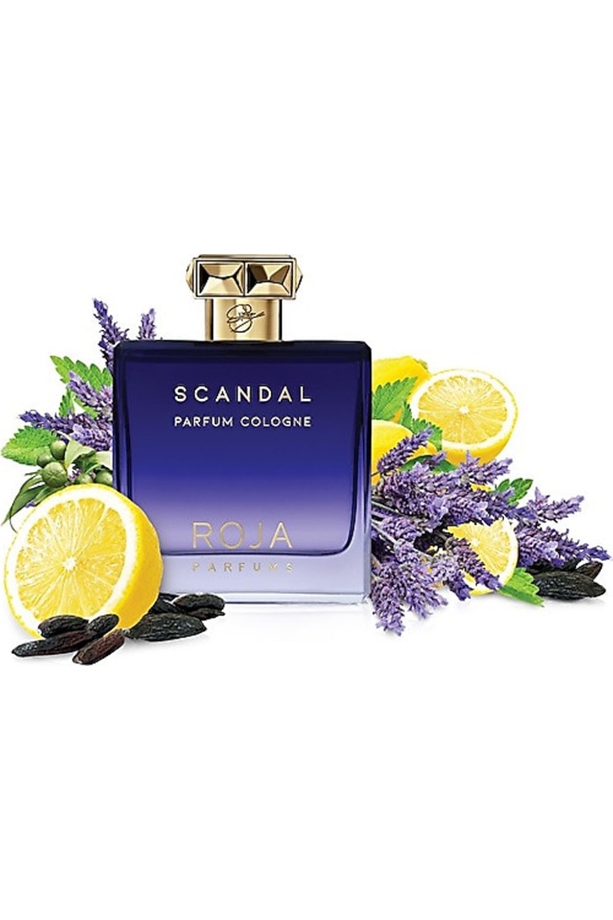 Roja Parfums Scandal Pour Homme Parfum Cologne 100 ml Erkek Parfüm