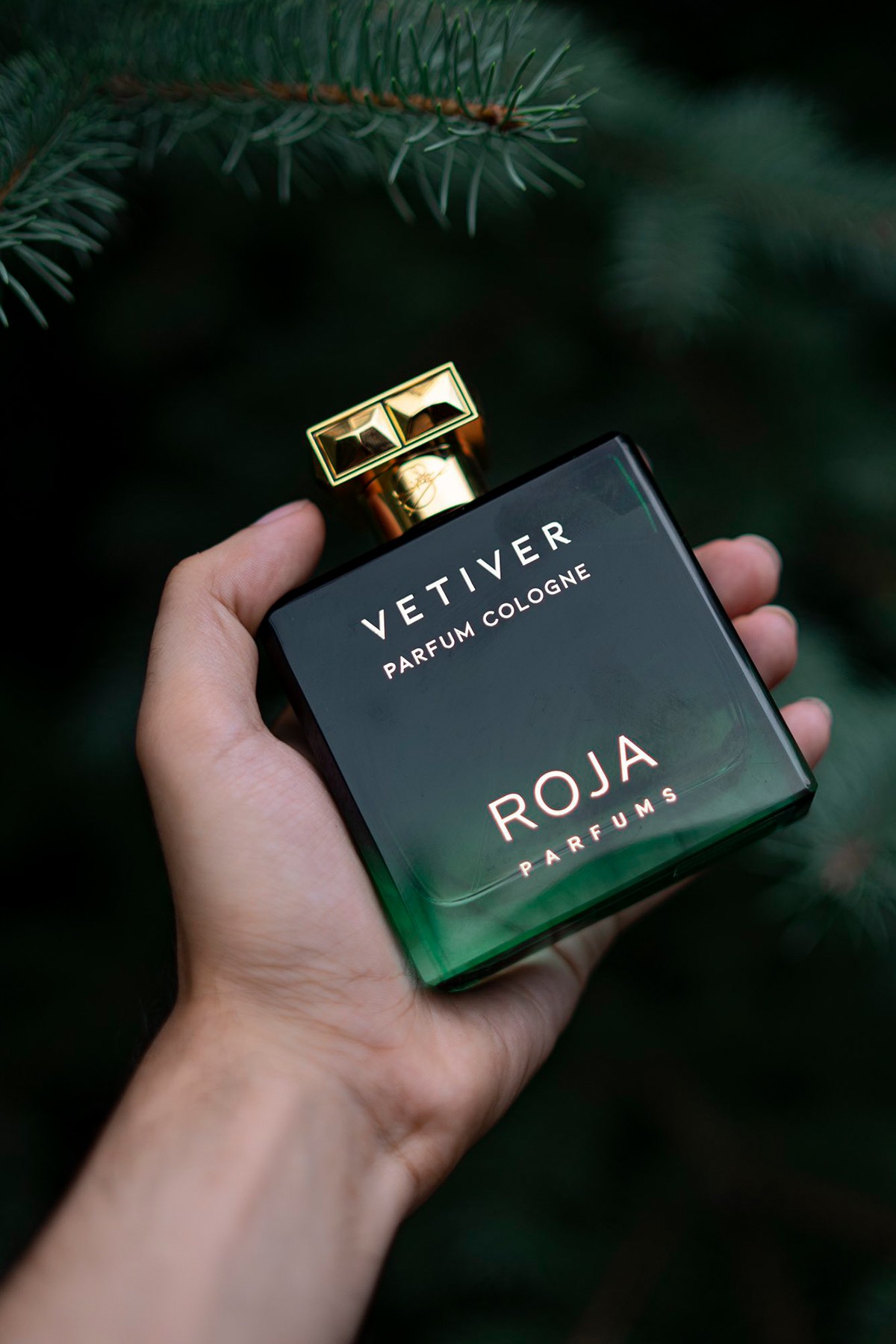 Roja Parfums Vetiver Pour Homme Parfum Cologne 100 ml Erkek Parfüm