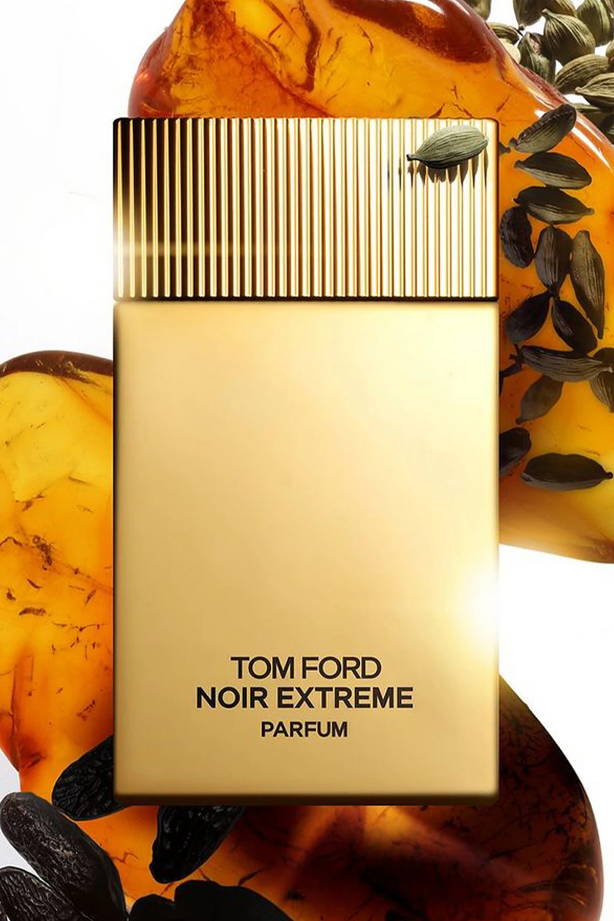 Tom Ford Noir Extreme Parfum Erkek Parfüm