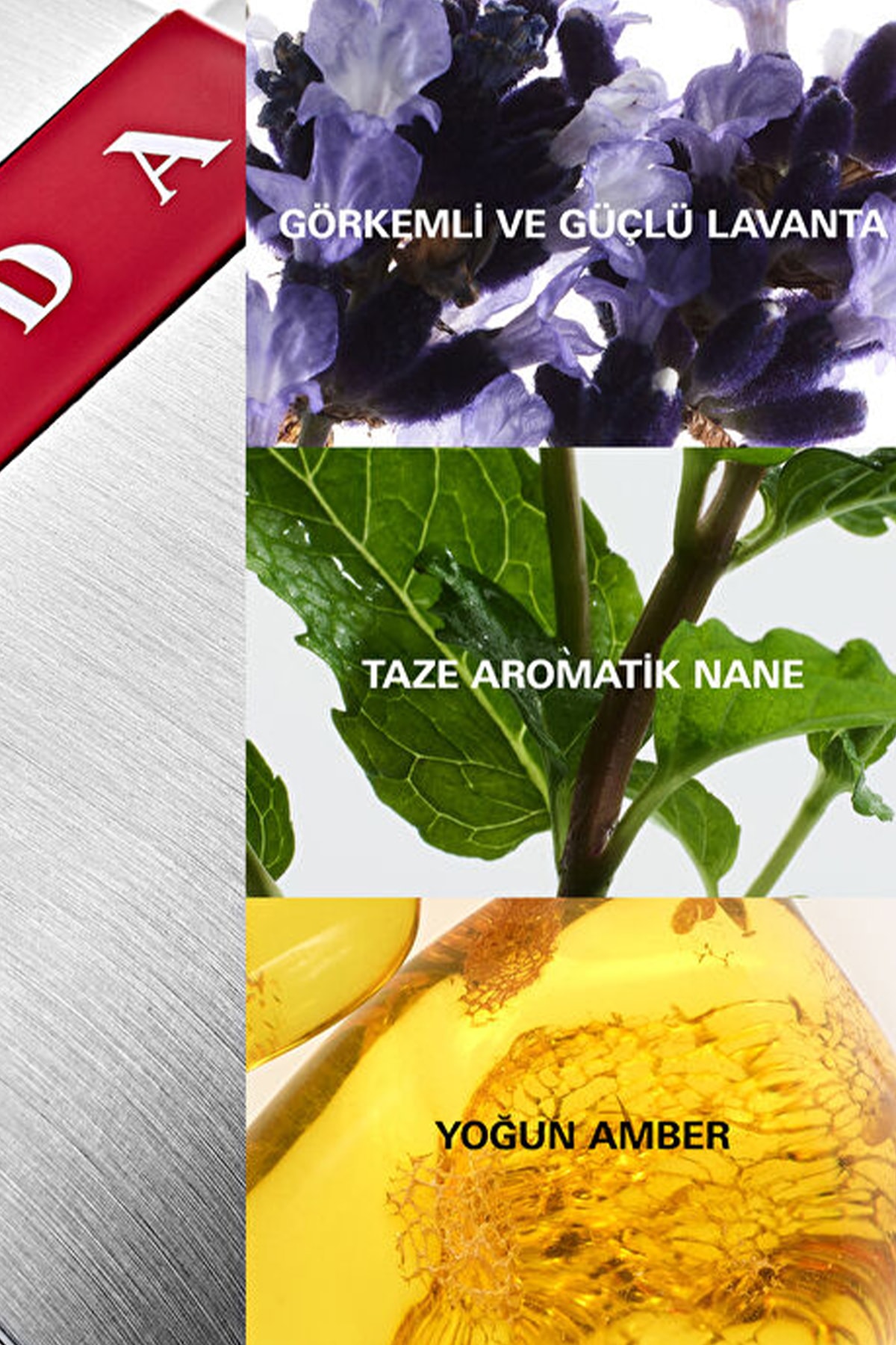 Prada Luna Rossa Edt 100 ml Parfüm