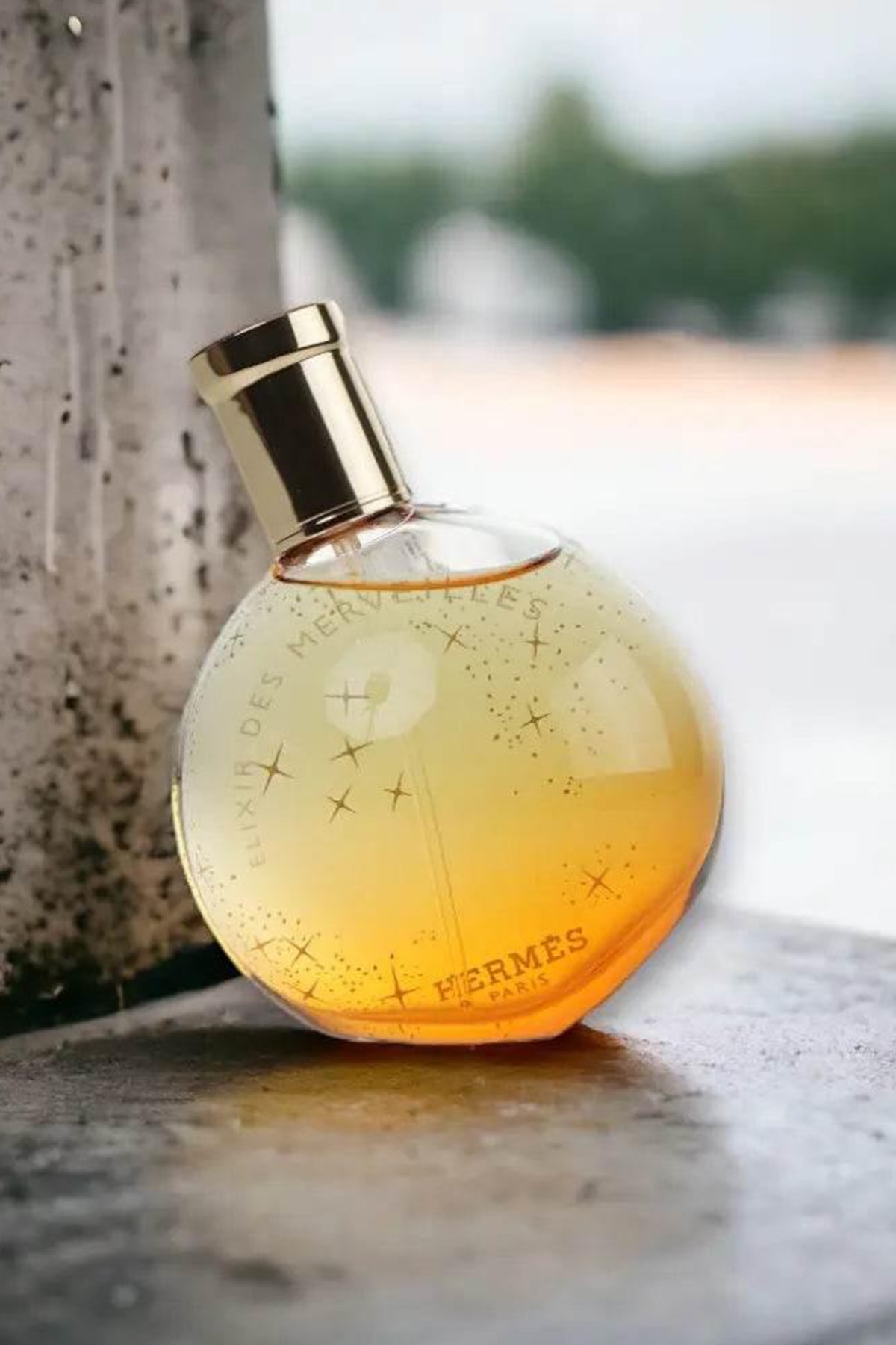 Hermes Elixir Des Merveilles Eau De Parfum