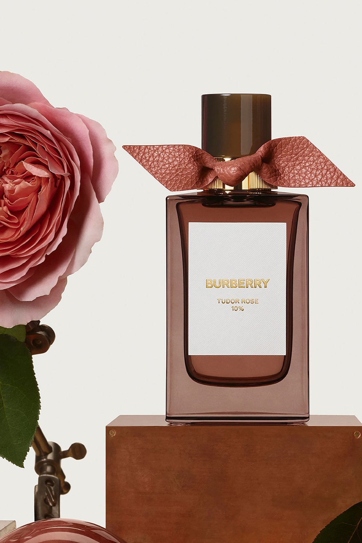 Burberry Signatures Tudor Rose Edp 100 ml Erkek Parfüm