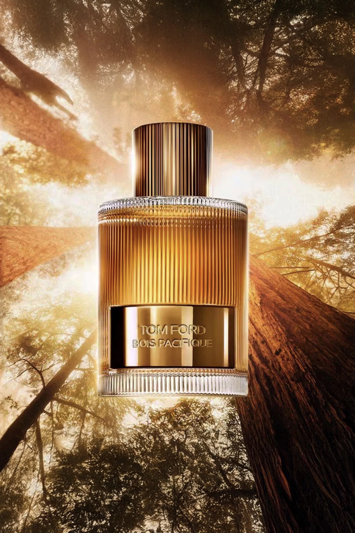 Tom Ford Bois Pacifique EDP Erkek Parfüm