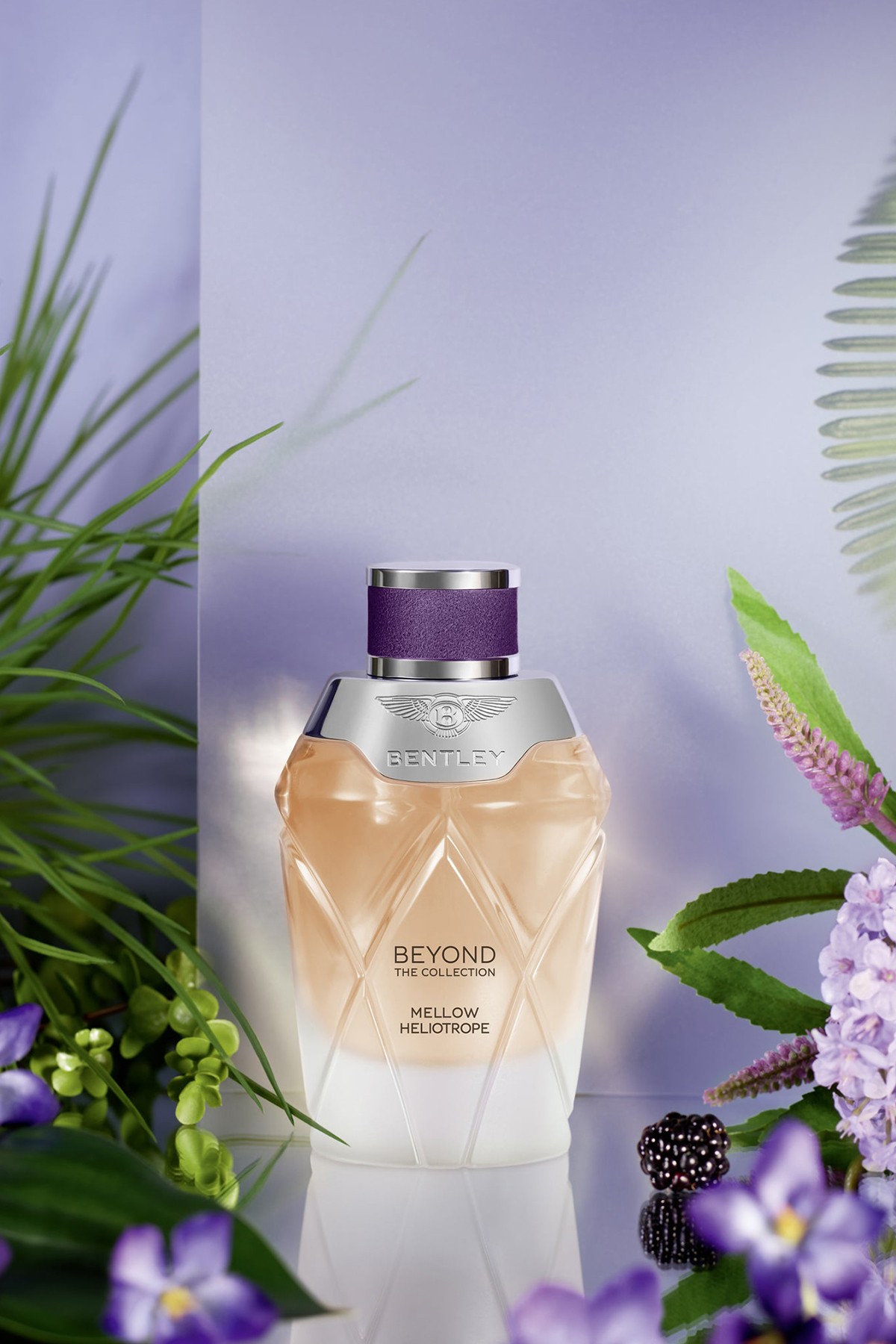 Bentley Mellow Heliotrope EDP 100 ml Kadın Parfümü