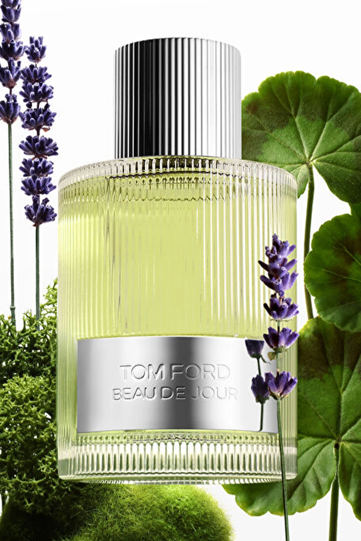 Tom Ford Beau De Jour 100 ml EDP Erkek Parfüm
