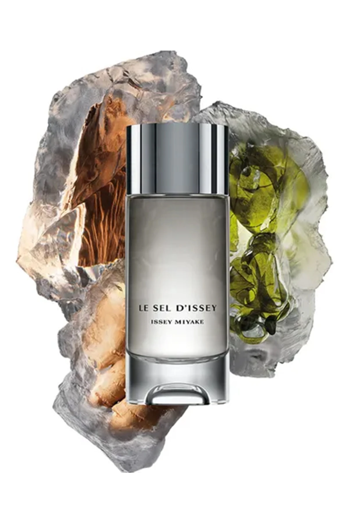 Issey Miyake Le Sel D'issey EDT Erkek Parfüm - 100 ml