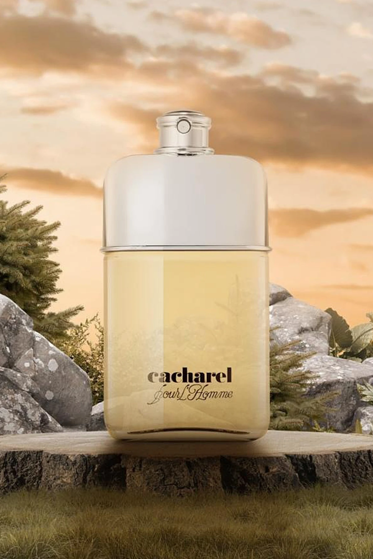 Cacharel Pour L'Homme EDT 100 ml Erkek Parfüm