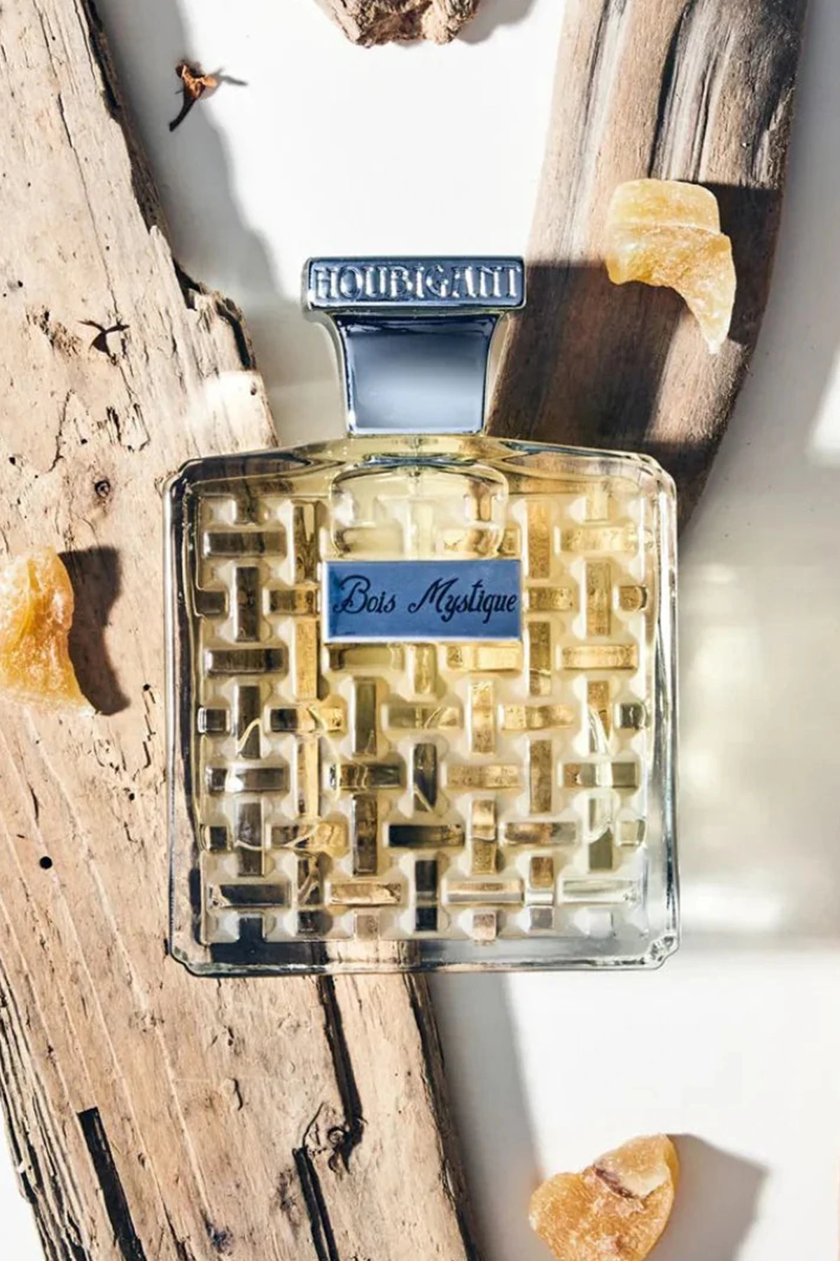 Houbigant Paris Bois Mystique EDP 100 ml Erkek Parfüm