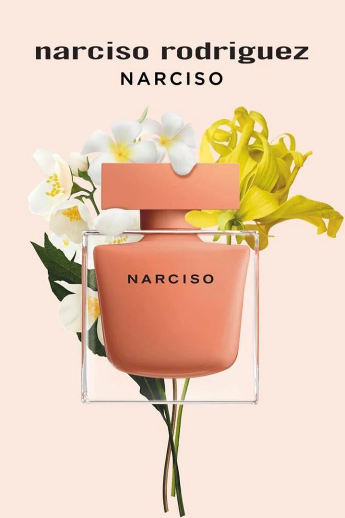 Narciso Rodriguez Narciso Ambree EDP Kadın Parfüm - 50 ml