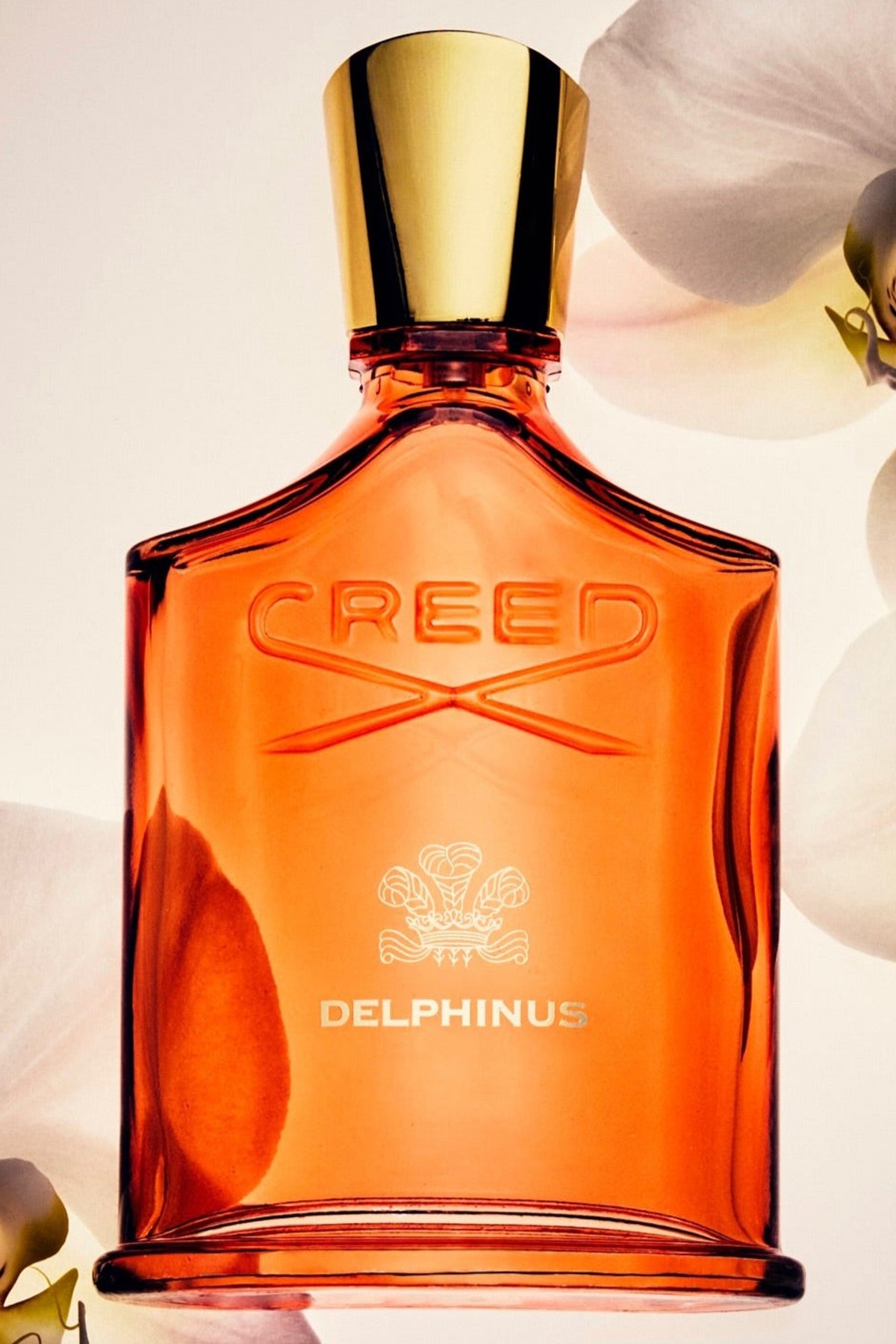 Creed Millesime Delphinus 100 ml Unisex Parfüm